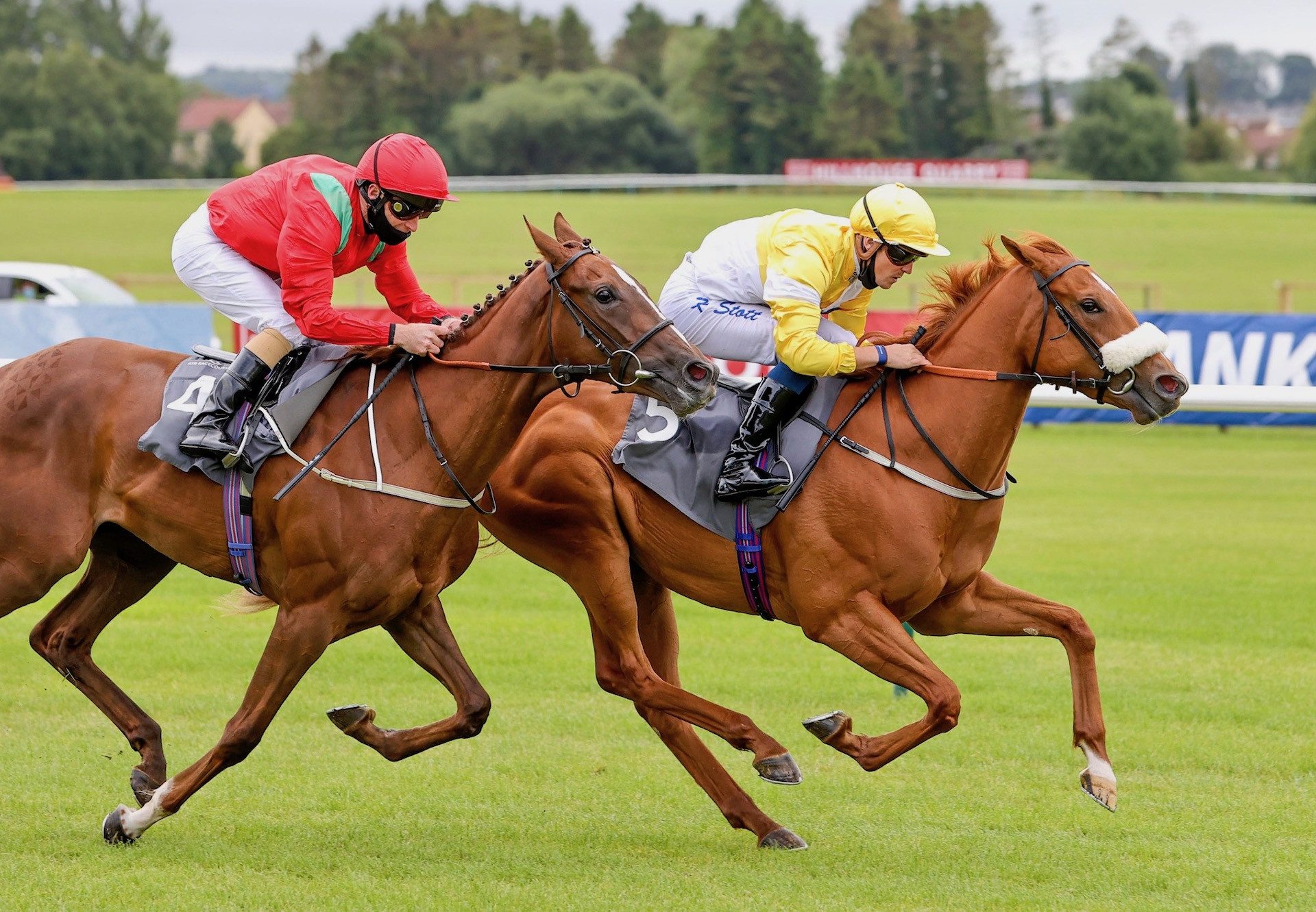 Star Of Emaraaty (Pride Of Dubai) Wins The Gr.3 Sweet Solera Stakes at Newmarket