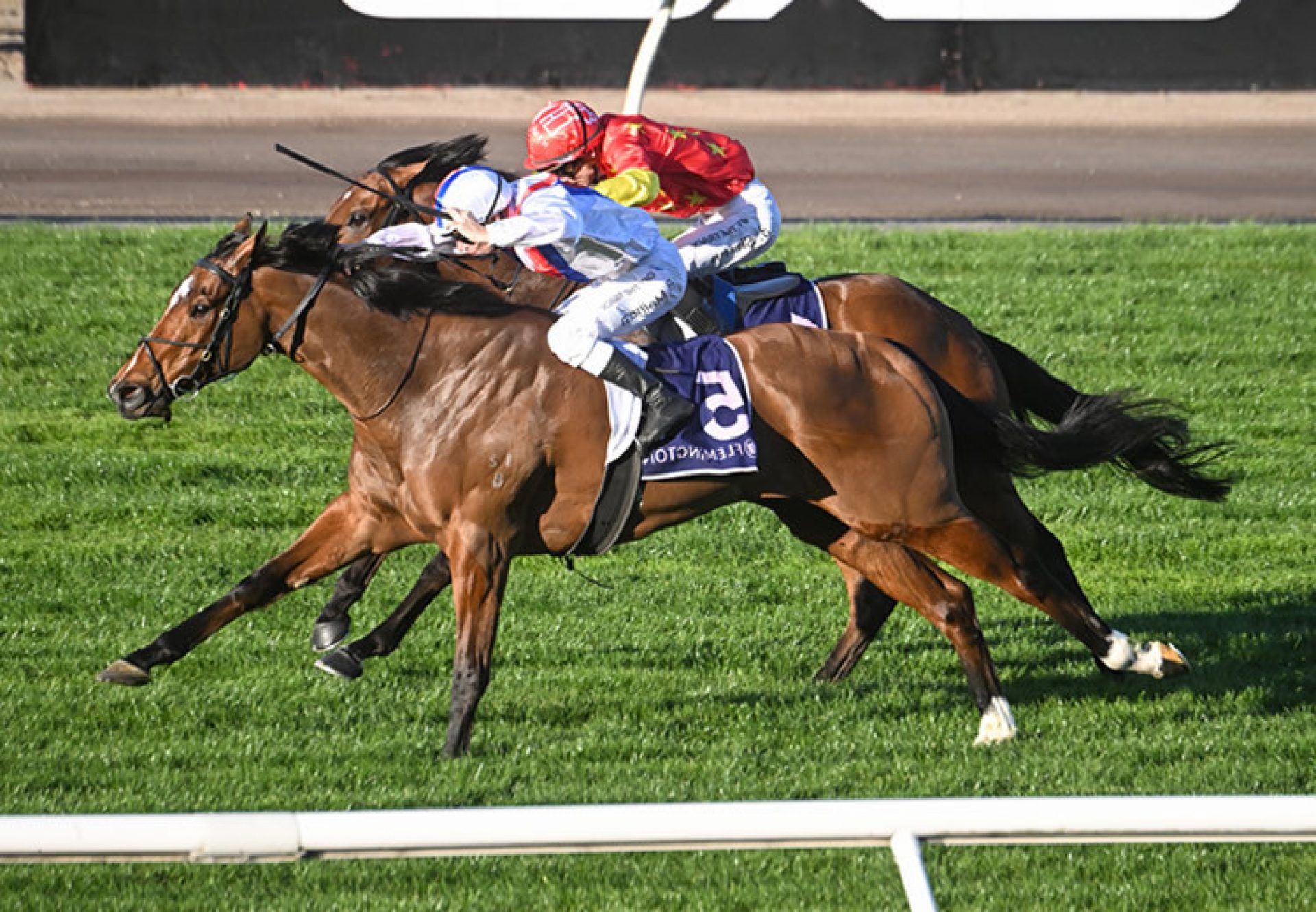 Star Patrol (Starspangledbanner)  wins the Gr.2 Bobbie Lewis Quality at Flemington