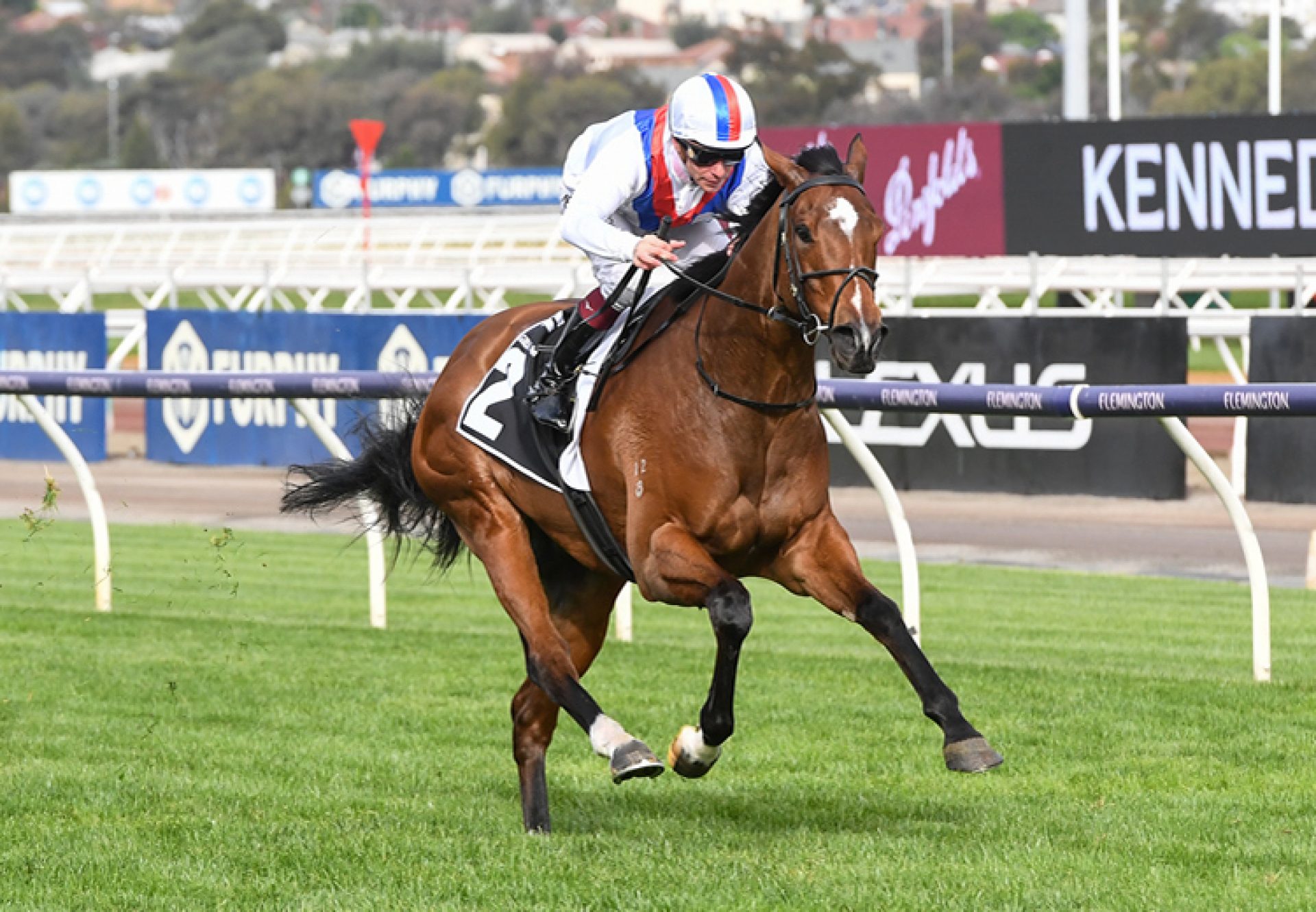 Star Patrol (Starspangledbanner) wins the Gr.2 Gilgai Stakes at Flemington