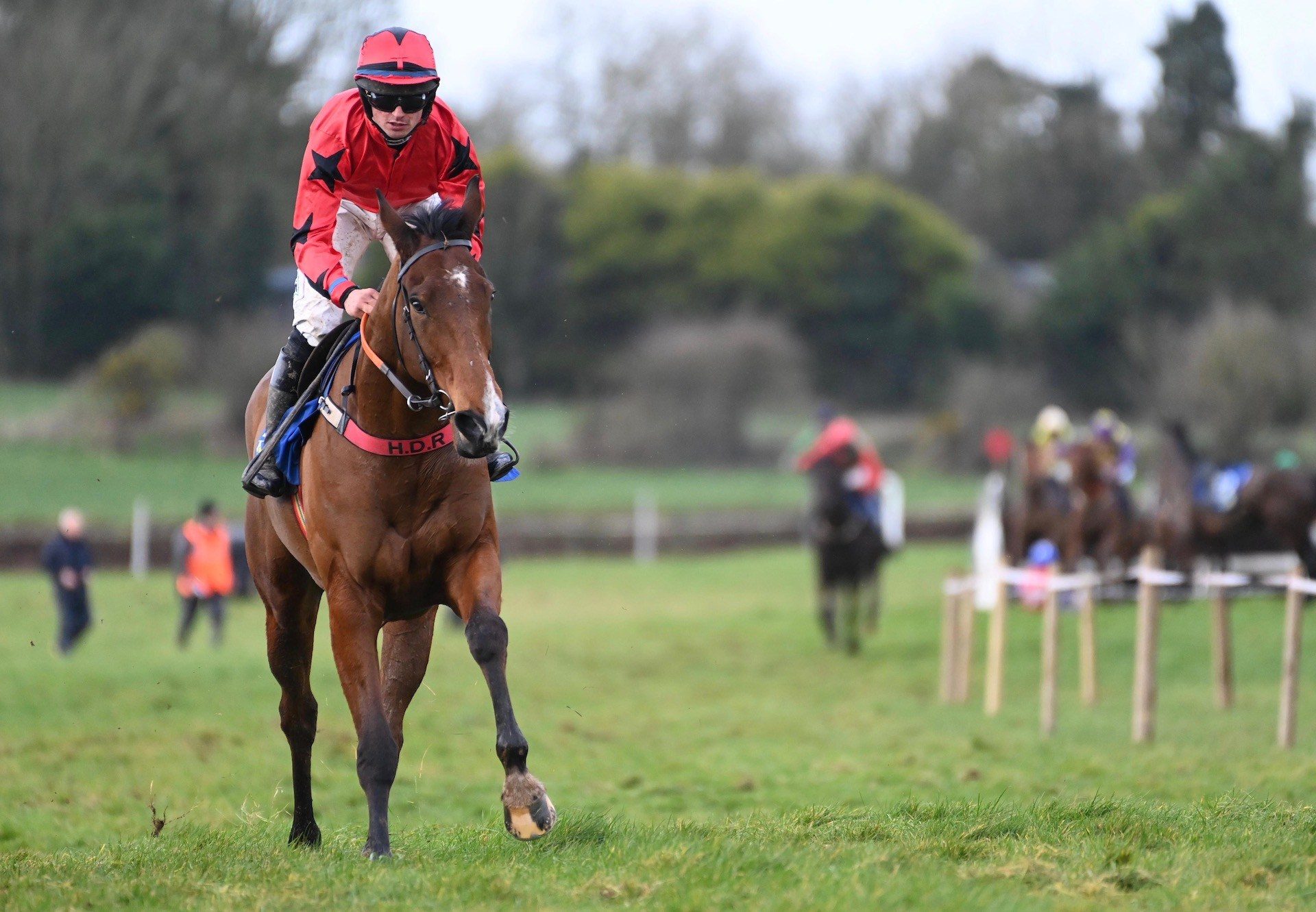 State Of Power (Westerner) Impresses At Knockanard