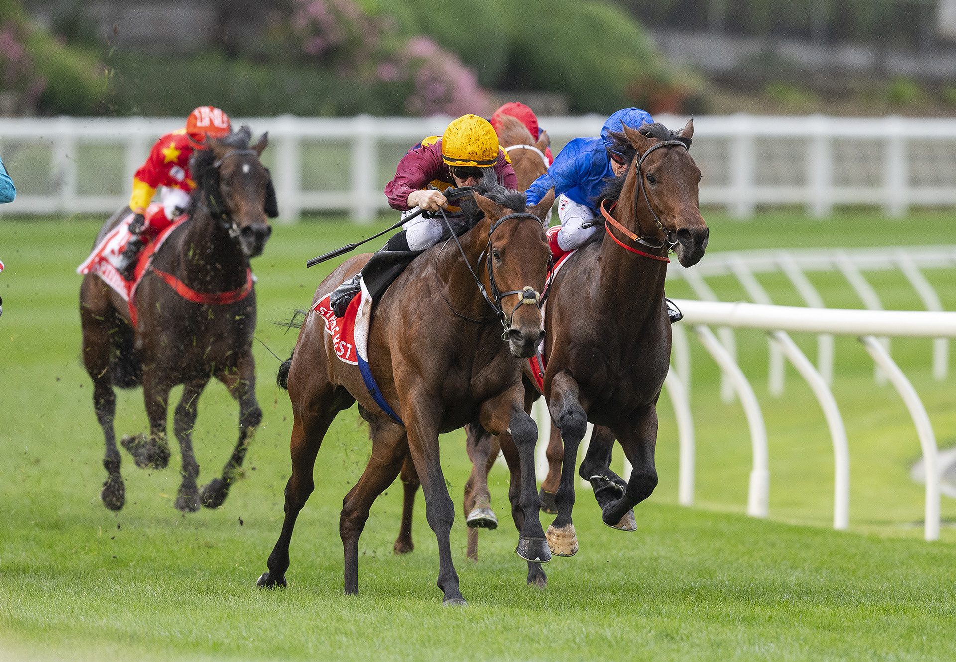 State Of Rest (Starspangledbanner) winning the Gr.1 Cox Plate at Moonee Valley