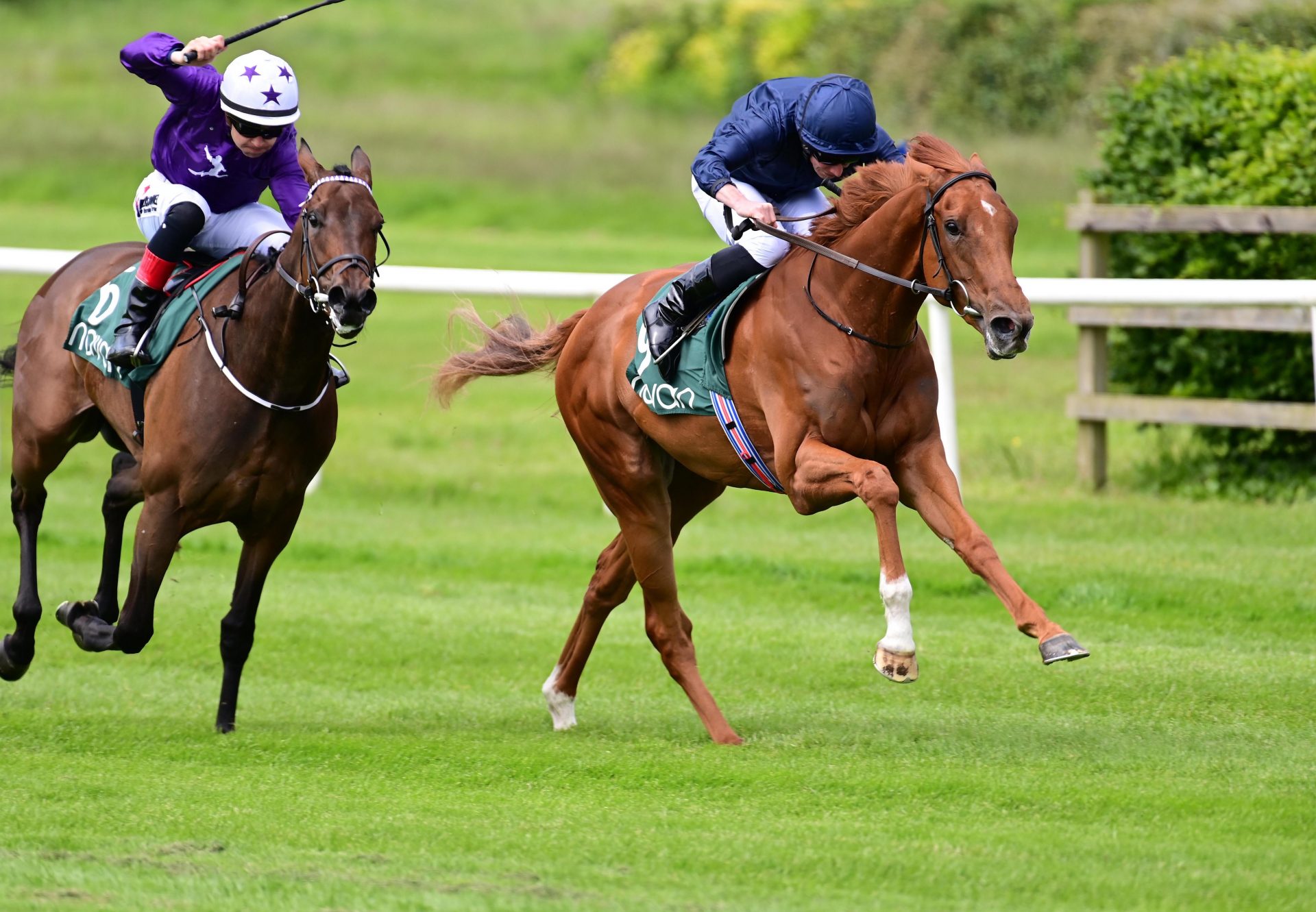 Statuette (Justify) Navan Maiden Victory