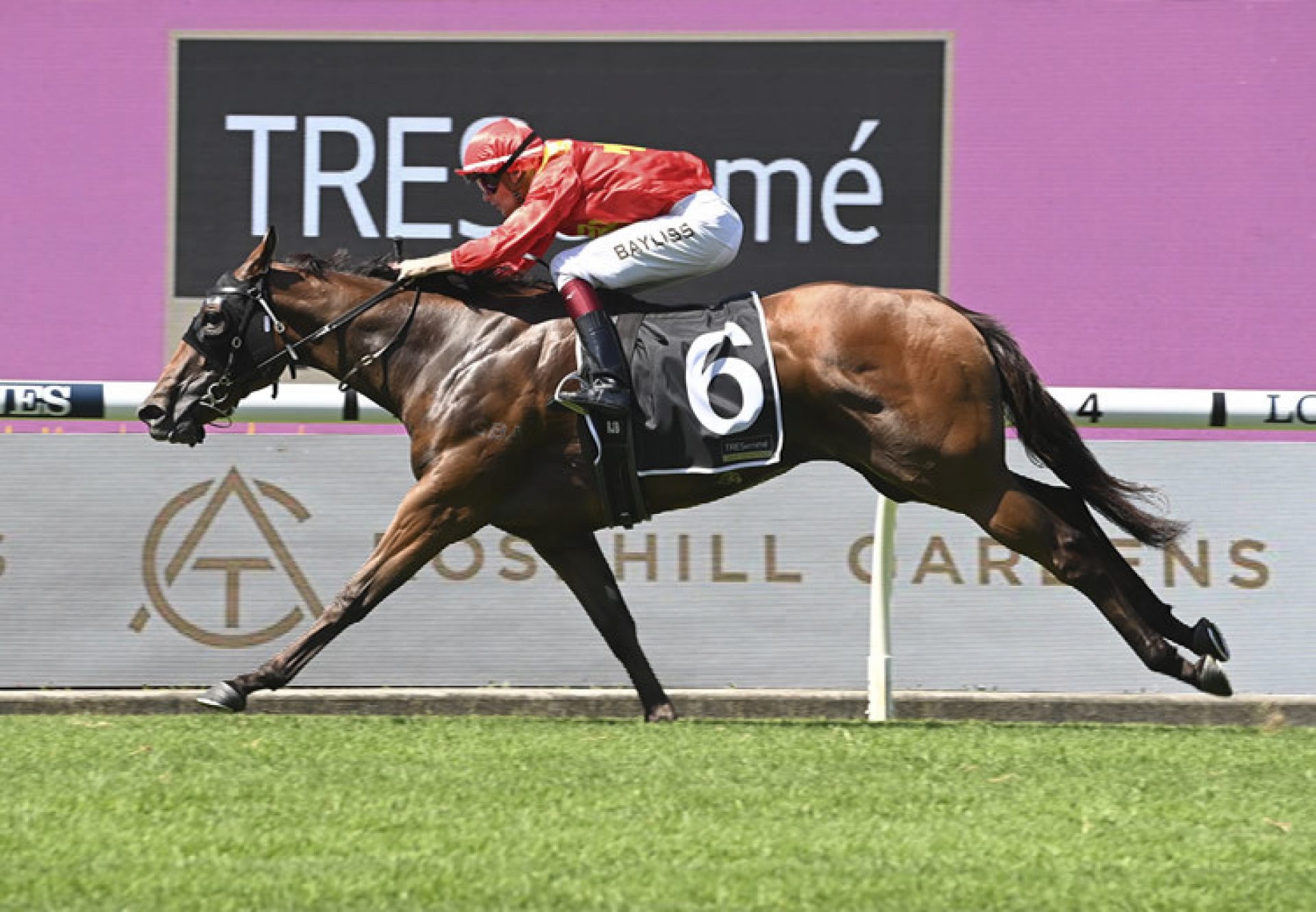 Steel City (merchant Navy) winning the Gr.3 Magic Night Stakes at Rosehill