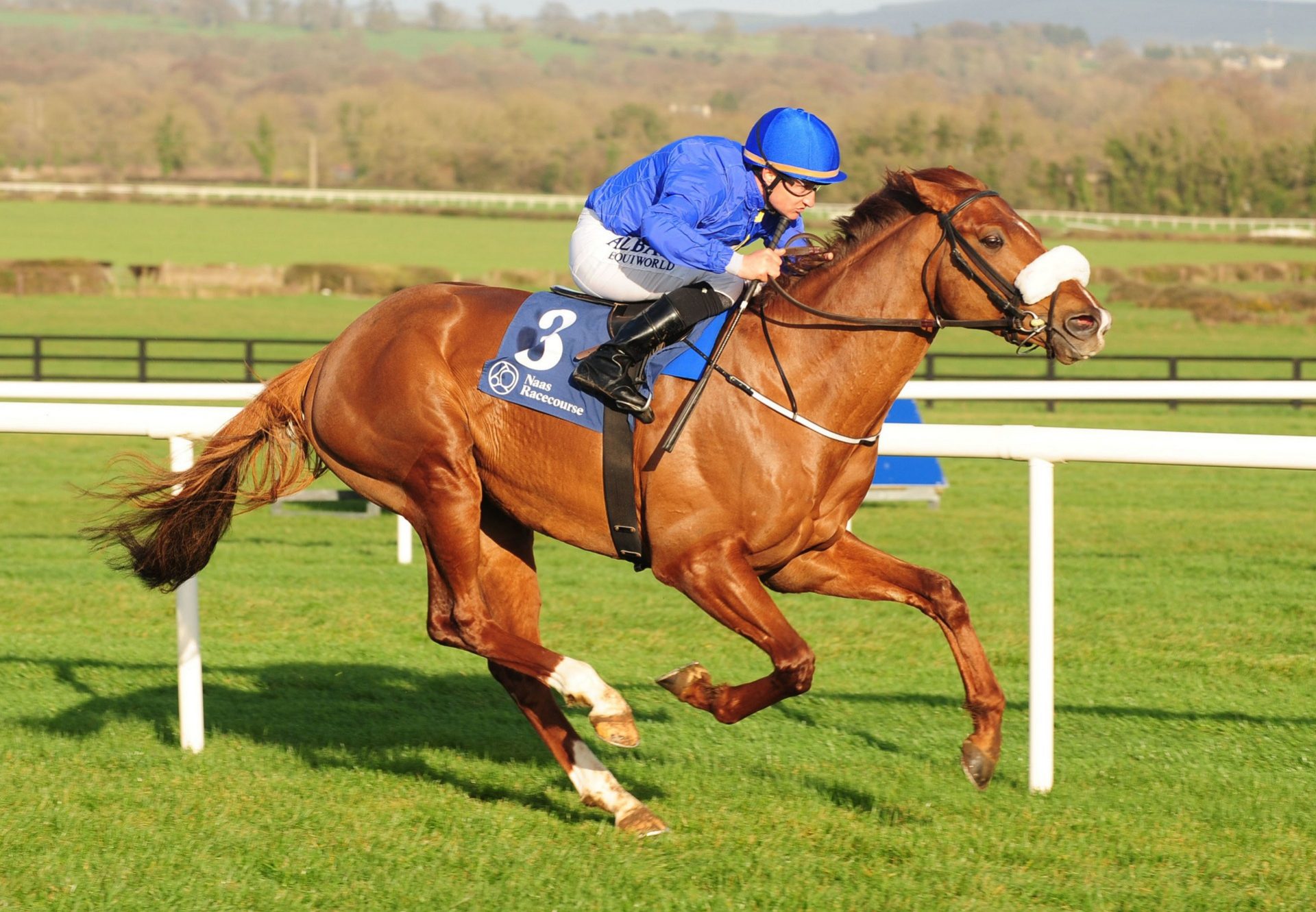 Still Standing (Mastercraftsman) winning the Listed Devoy Stakes at Naas