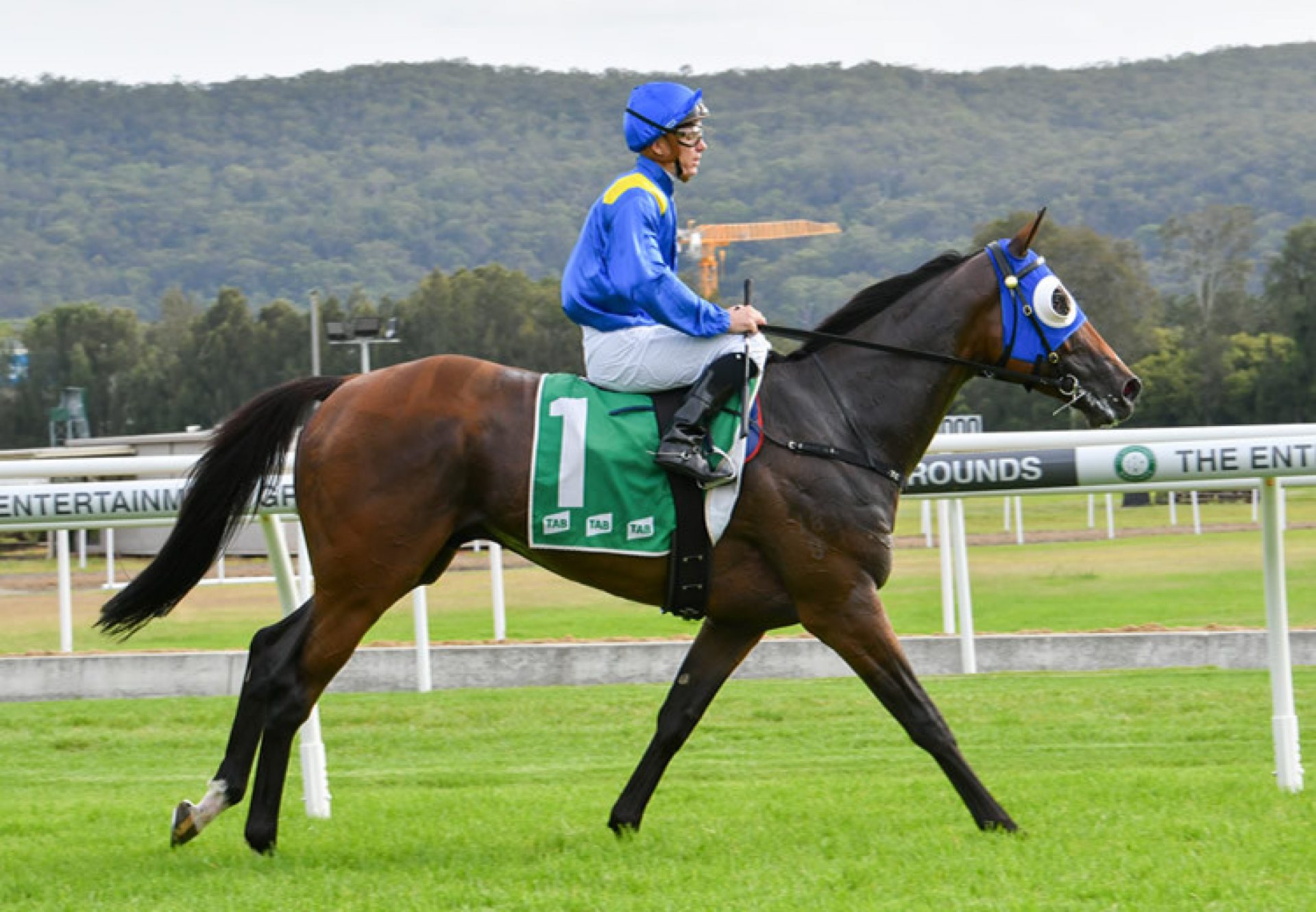 Stonecoat (Pierro) winning the Listed SAJC Morphettville Guineas in Adelaide