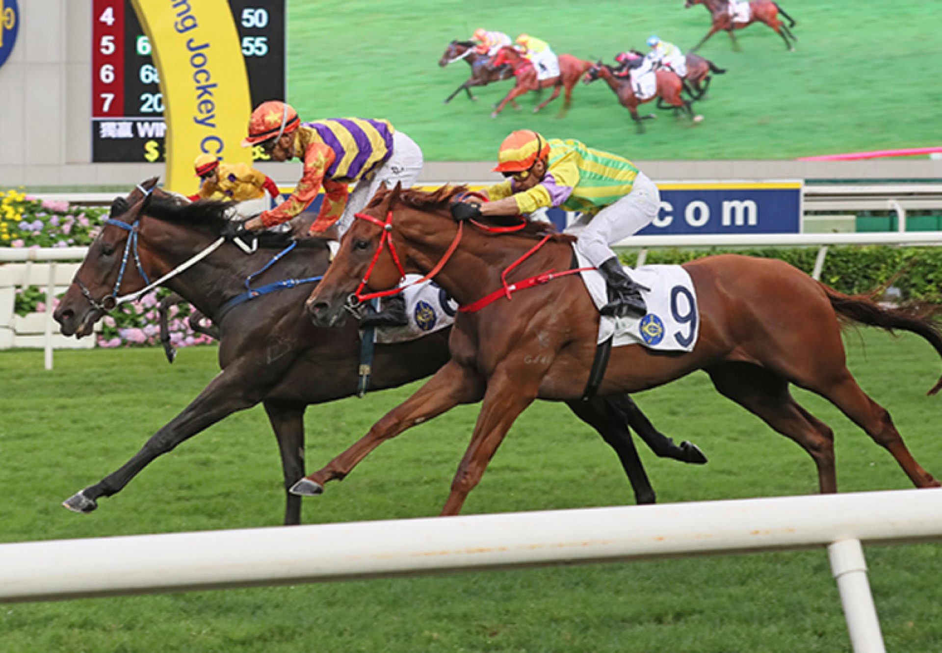 Straight Arron (Fastnet Rock) winning the Gr.3Queen Mother Memorial at Sha Tin