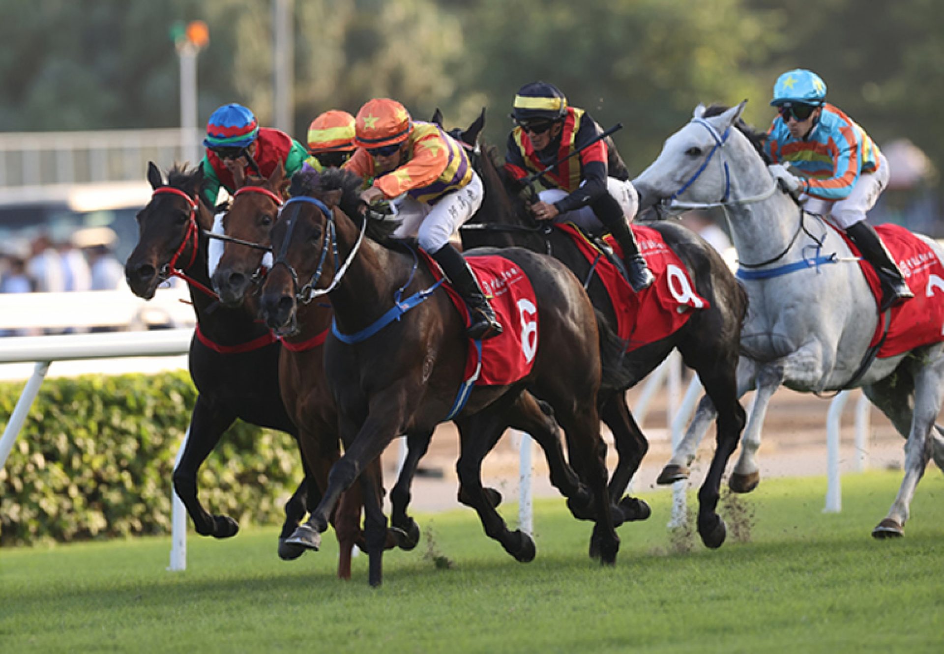 Straight Arron (Fastnet Rock) wins the Gr.2 Jockey Club Cup at Sha Tin