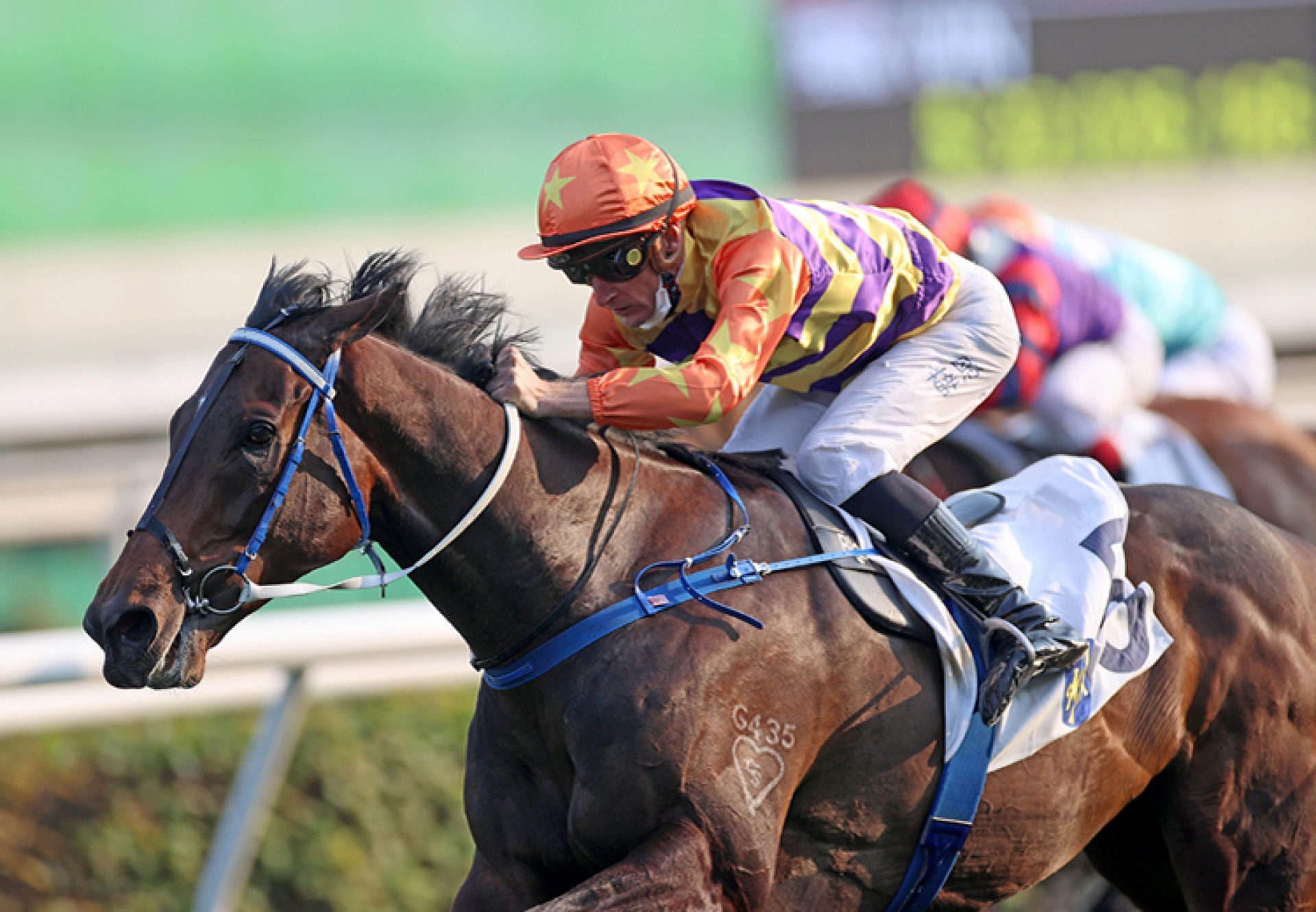 Straight Arron (Fastnet Rock) winning at Sha Tin