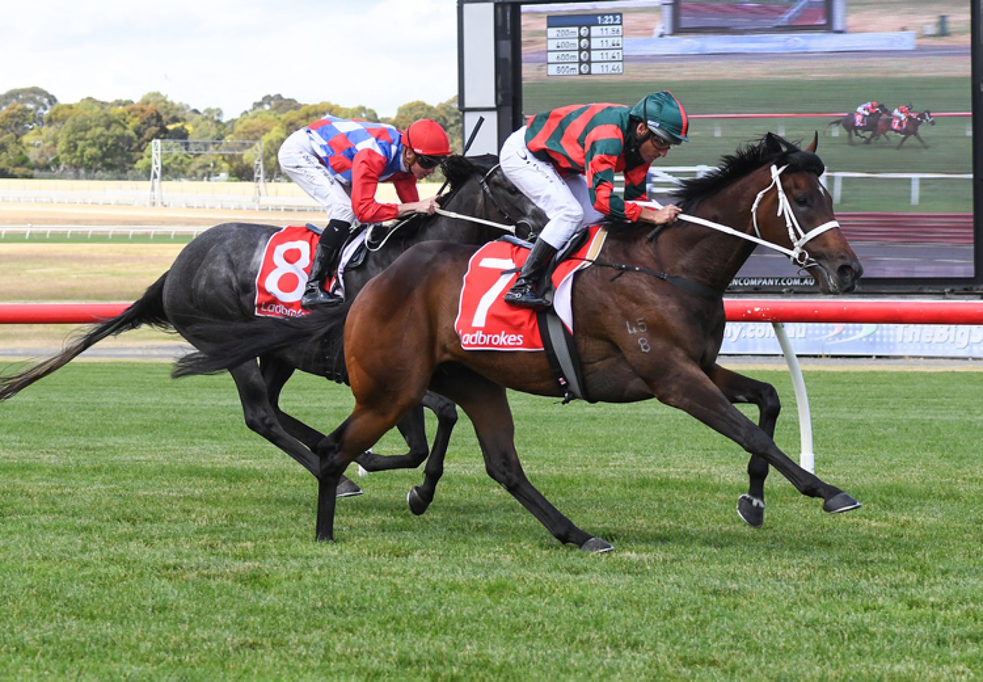 Straight Arron (Fastnet Rock) winning at Sandown