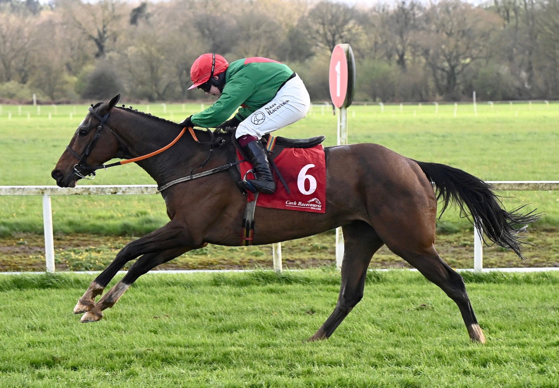 Straight Home (Yeats) Wins The Mares Point Flat Race At Cork