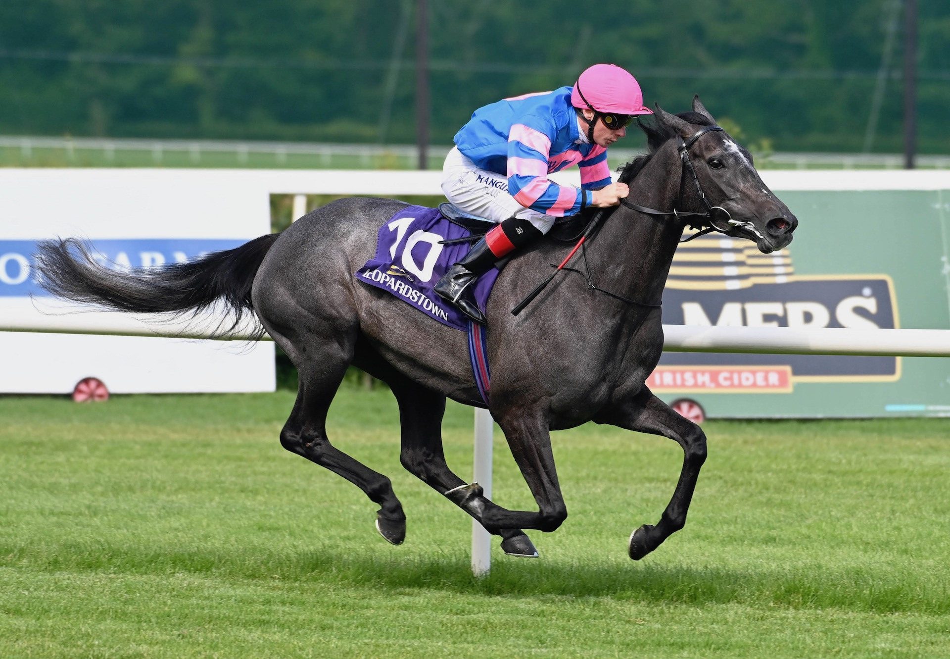 Sugaree (Camelot) Wins Her Maiden At Leopardstown