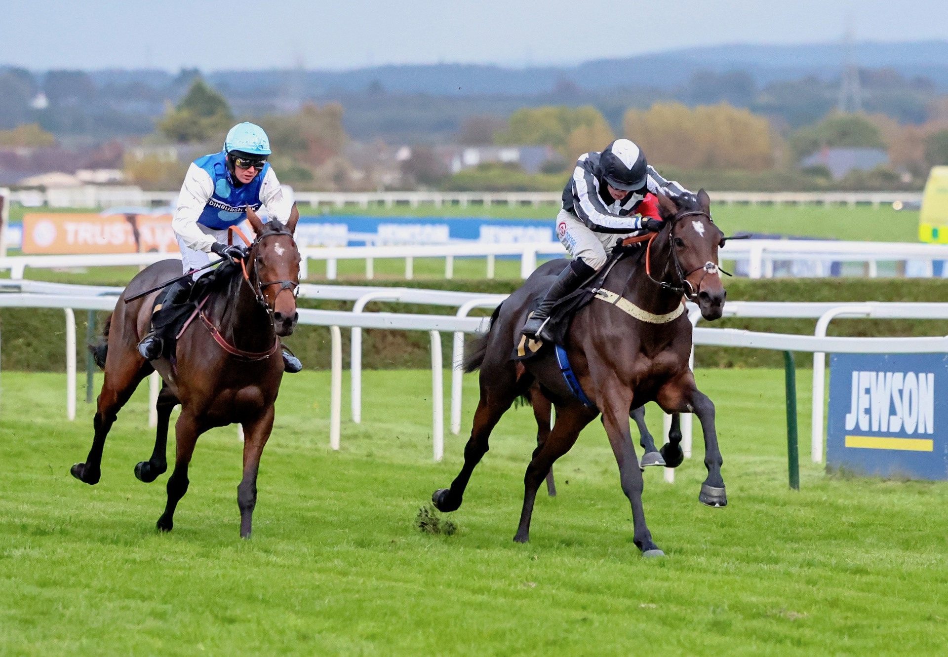 Sunset Marquesa (Walk In The Park) Wins On Debut at Aintree