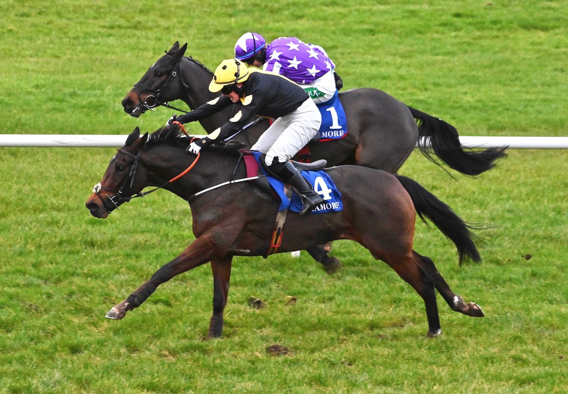 Supremely West (Westerner) Wins The Bumper At Tramore