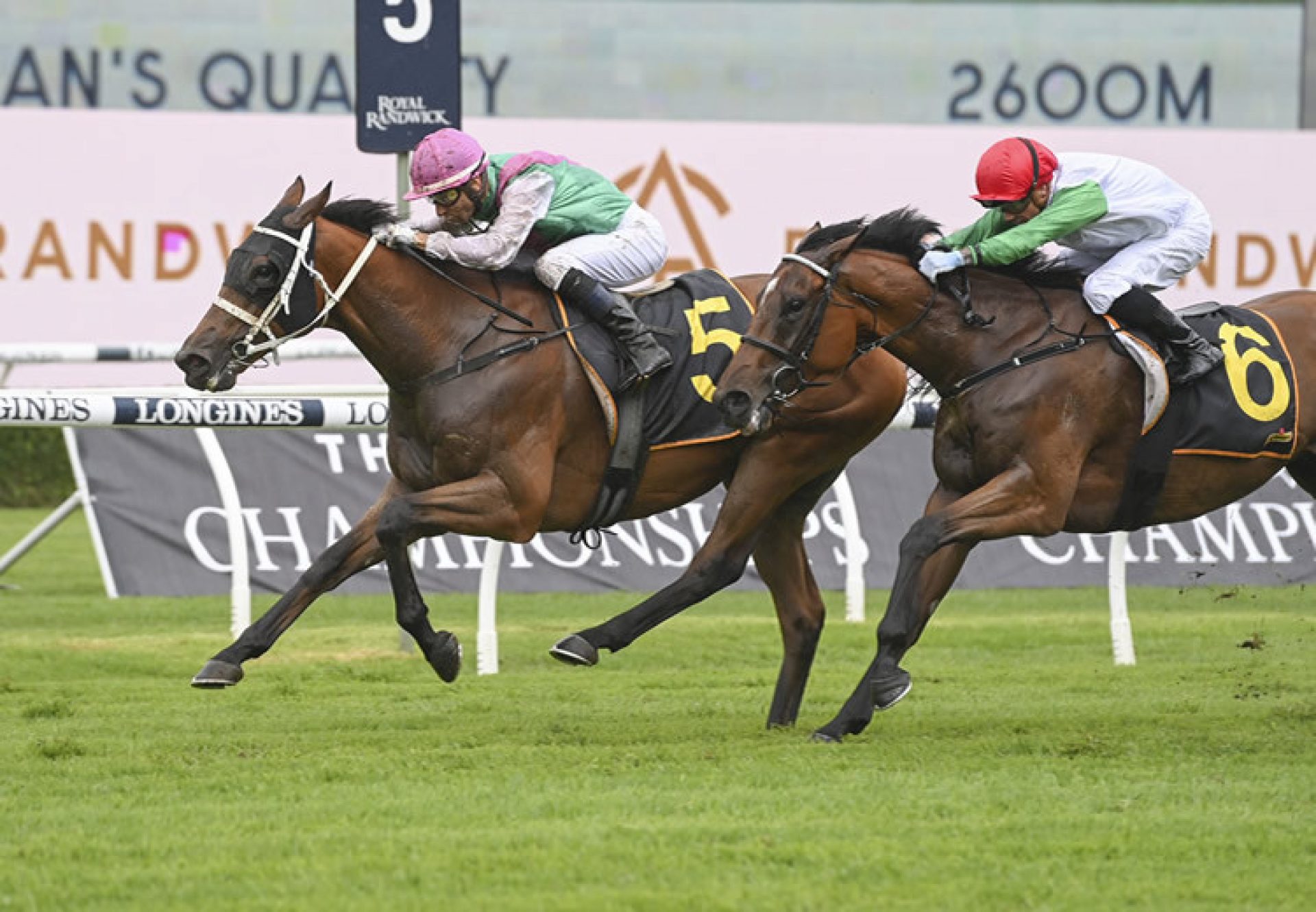 Surefire (Fastnet Rock) wins the Gr.2 Chairman's Quality at Randwick