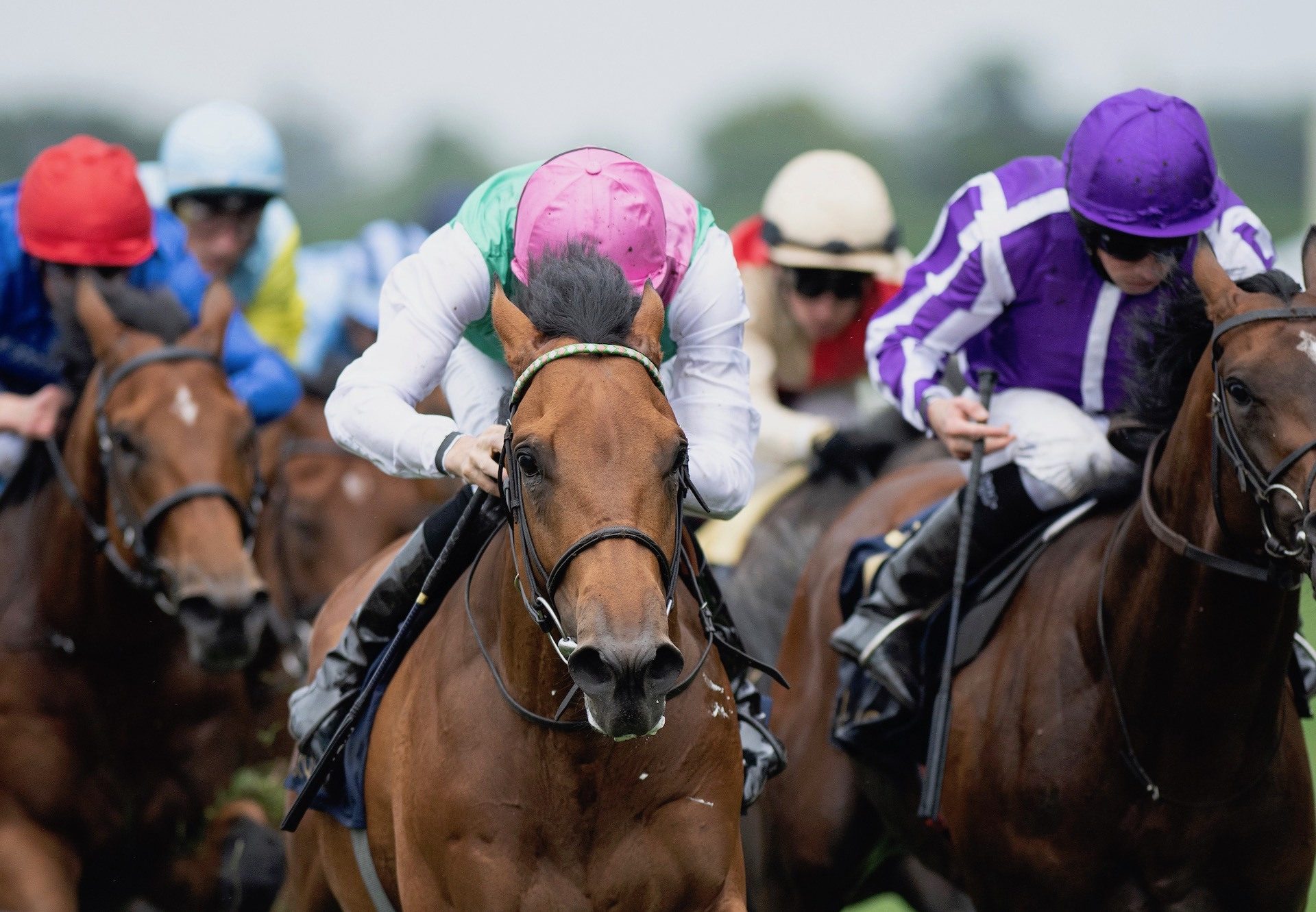 Surefire (Fastnet Rock) Wins The King George V Stakes at Royal Ascot