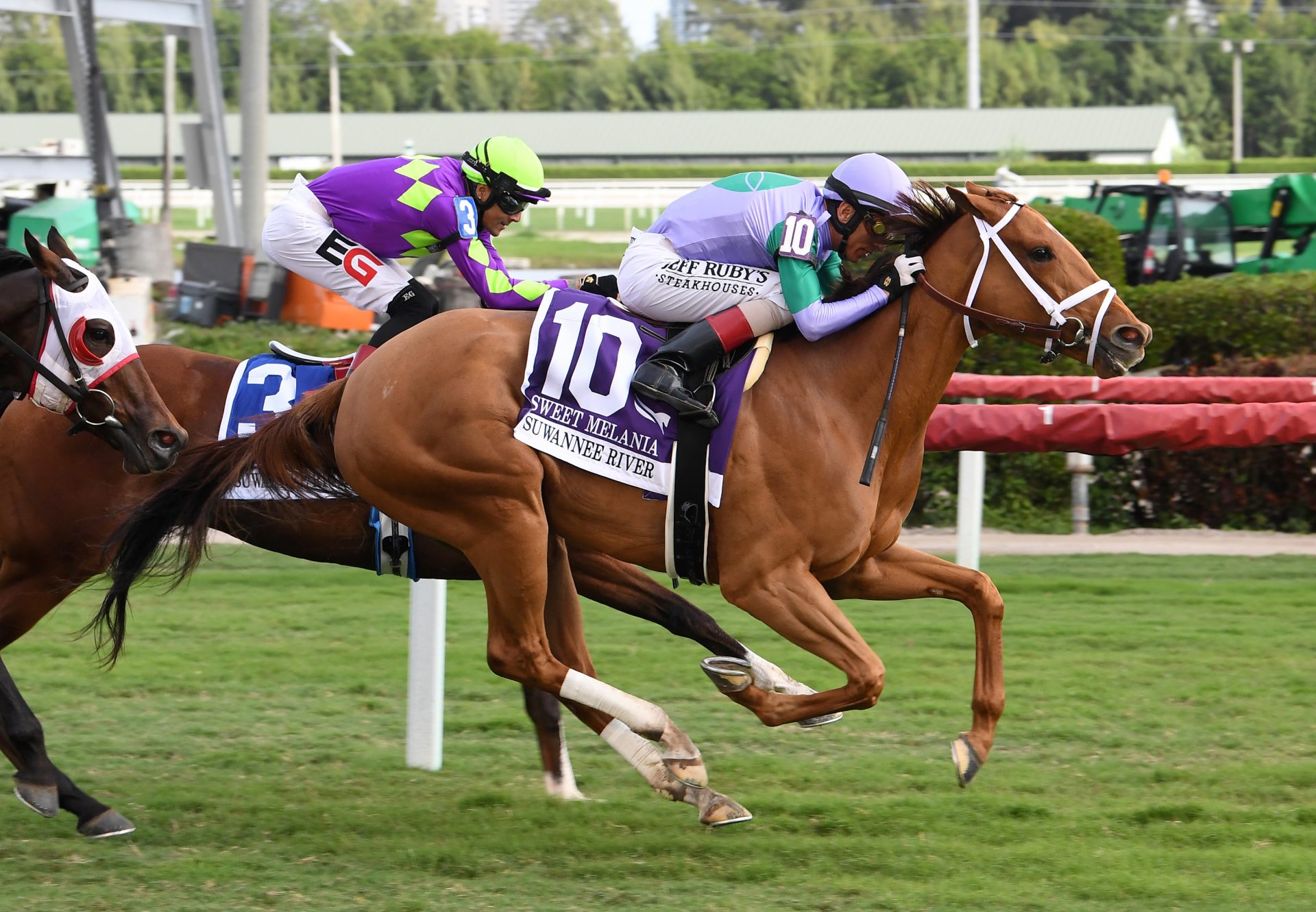 Sweet Melania (American Pharoah) Gr.3 Suwanee River at Gulstream Park