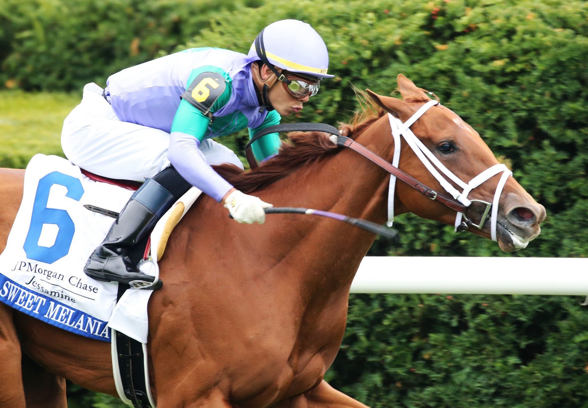 Sweet Melania (American Pharoah) winning the Gr.2 Jessamine Stakes at Keeneland