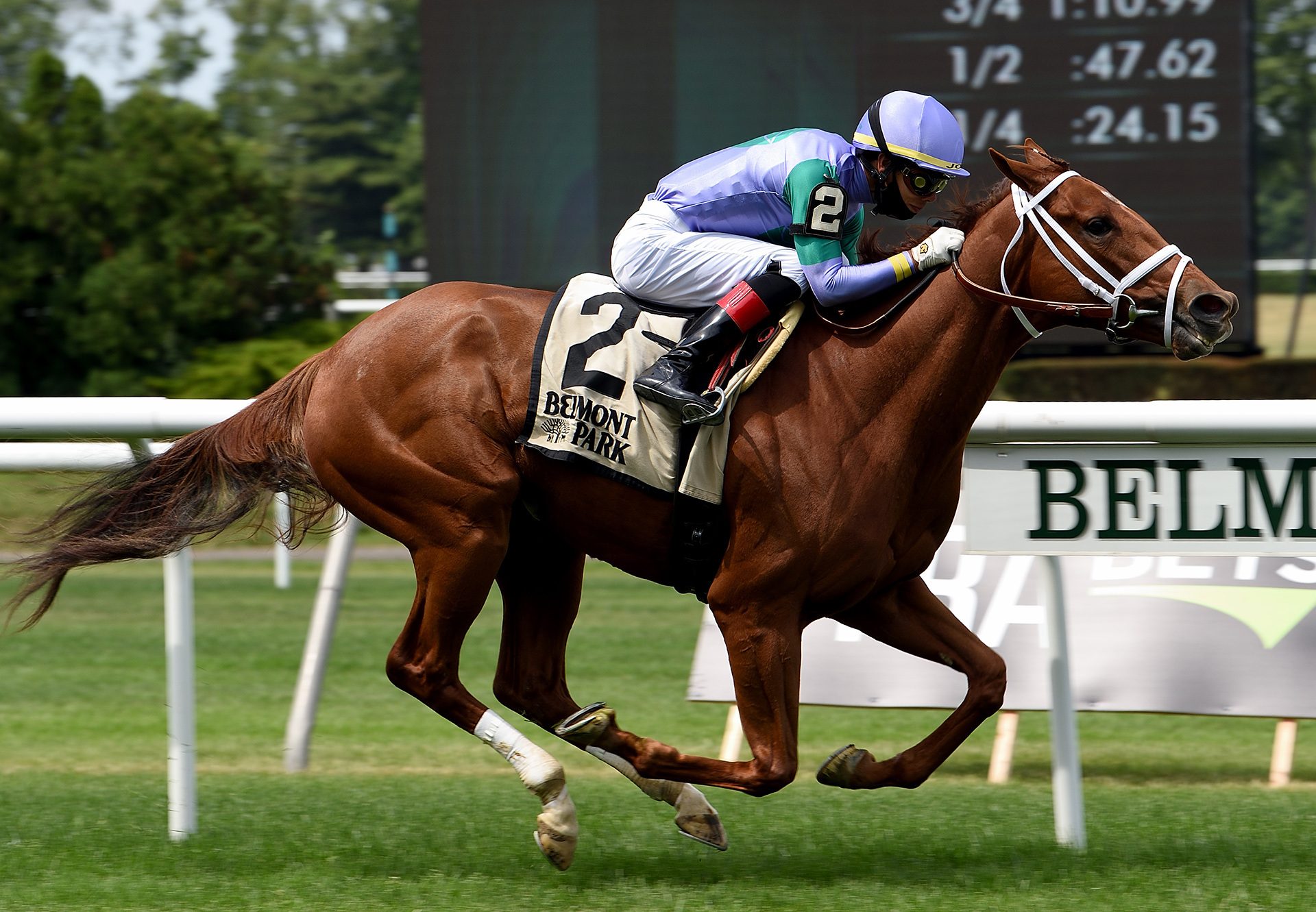 Sweet Melania (American Pharoah) wins the G3 Wonder Again Stakes