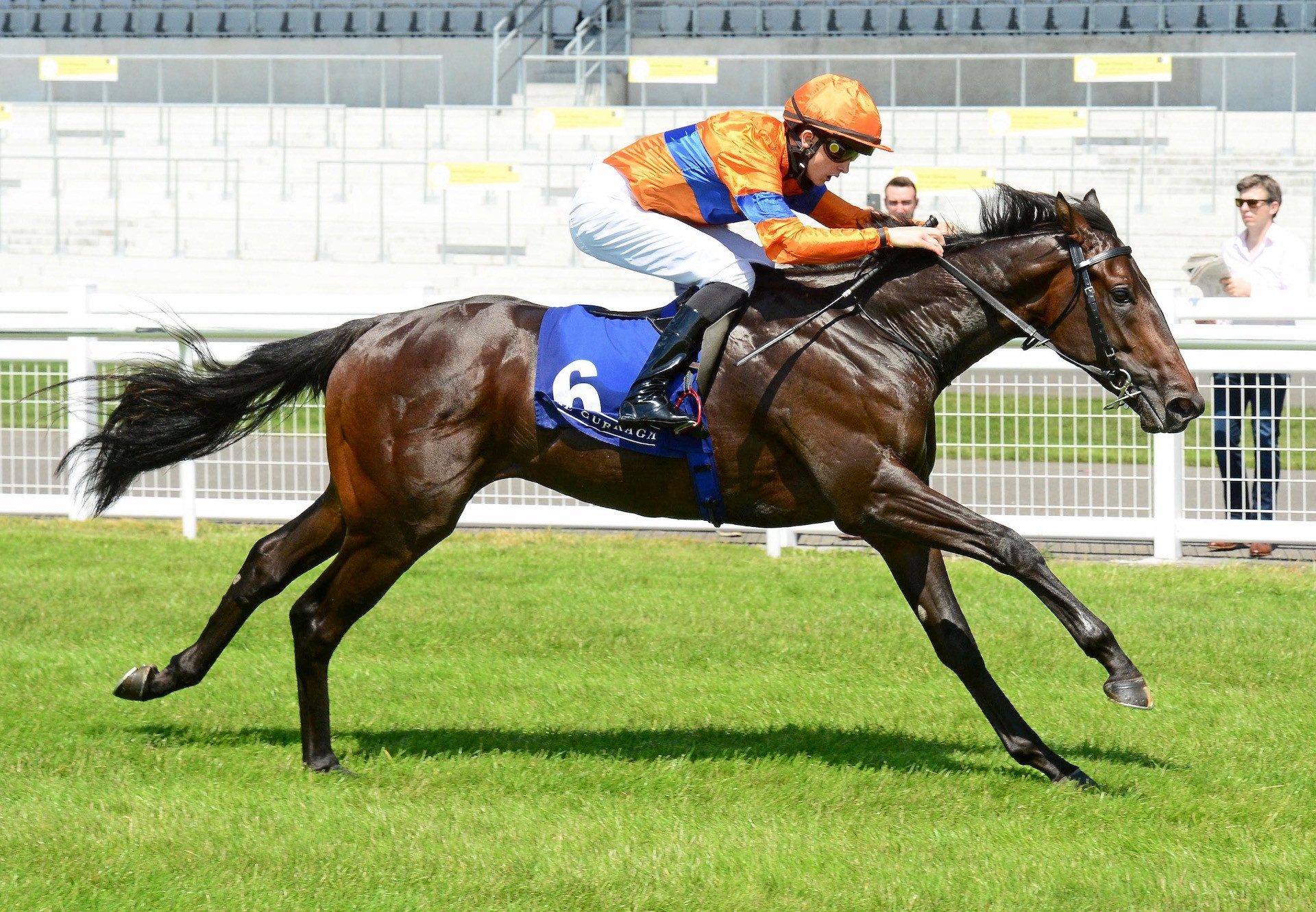 Swift One (No Nay Never) Gets Off The Mark At The Curragh