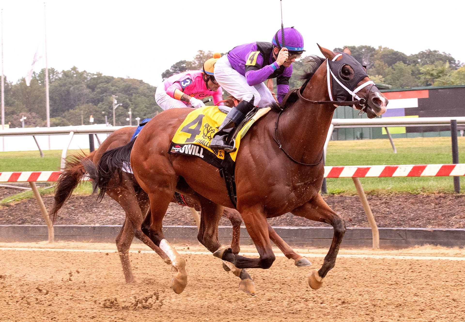 Swill (Munnings) Wins Challedon Stakes at Pimlico