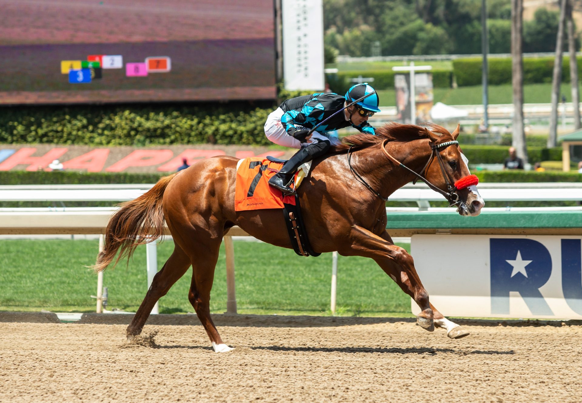 Tahoma (Justify) Wins Santa Anita MSW