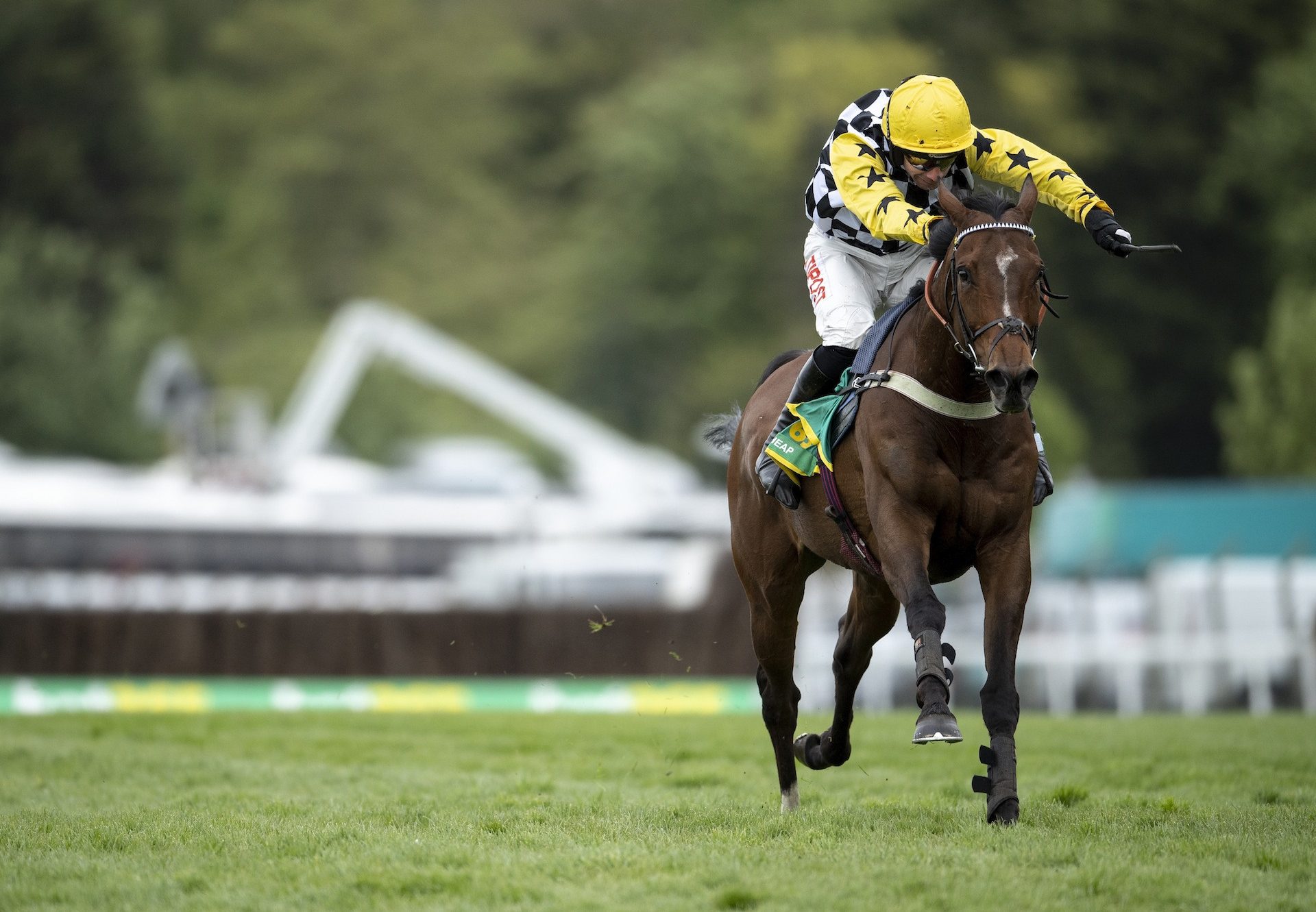 Talkischeap (Getaway) Wins The Bet365 Gold Cup At Sandown