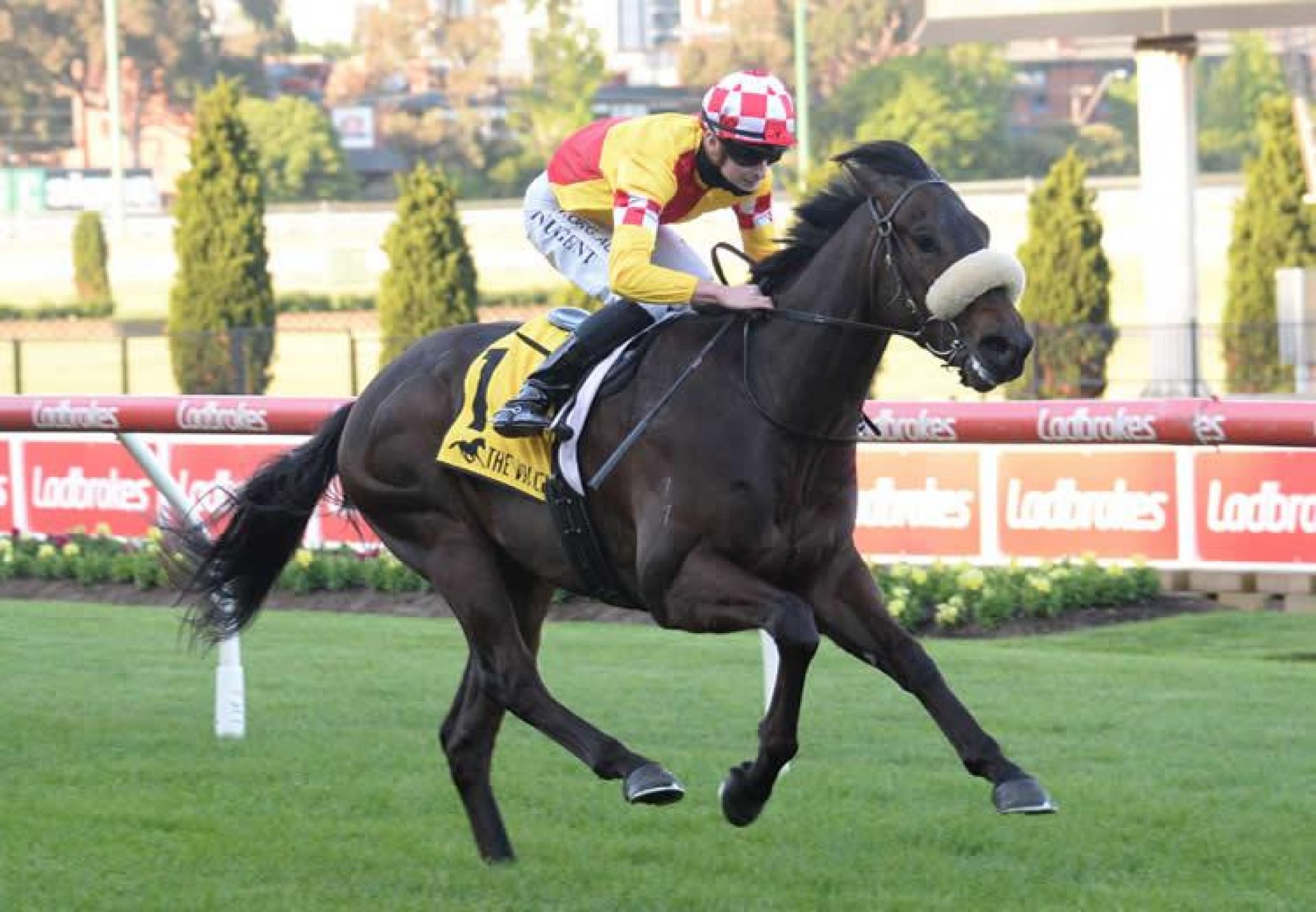 Tanker (Pride Of Dubai) winning at Moonee Valley