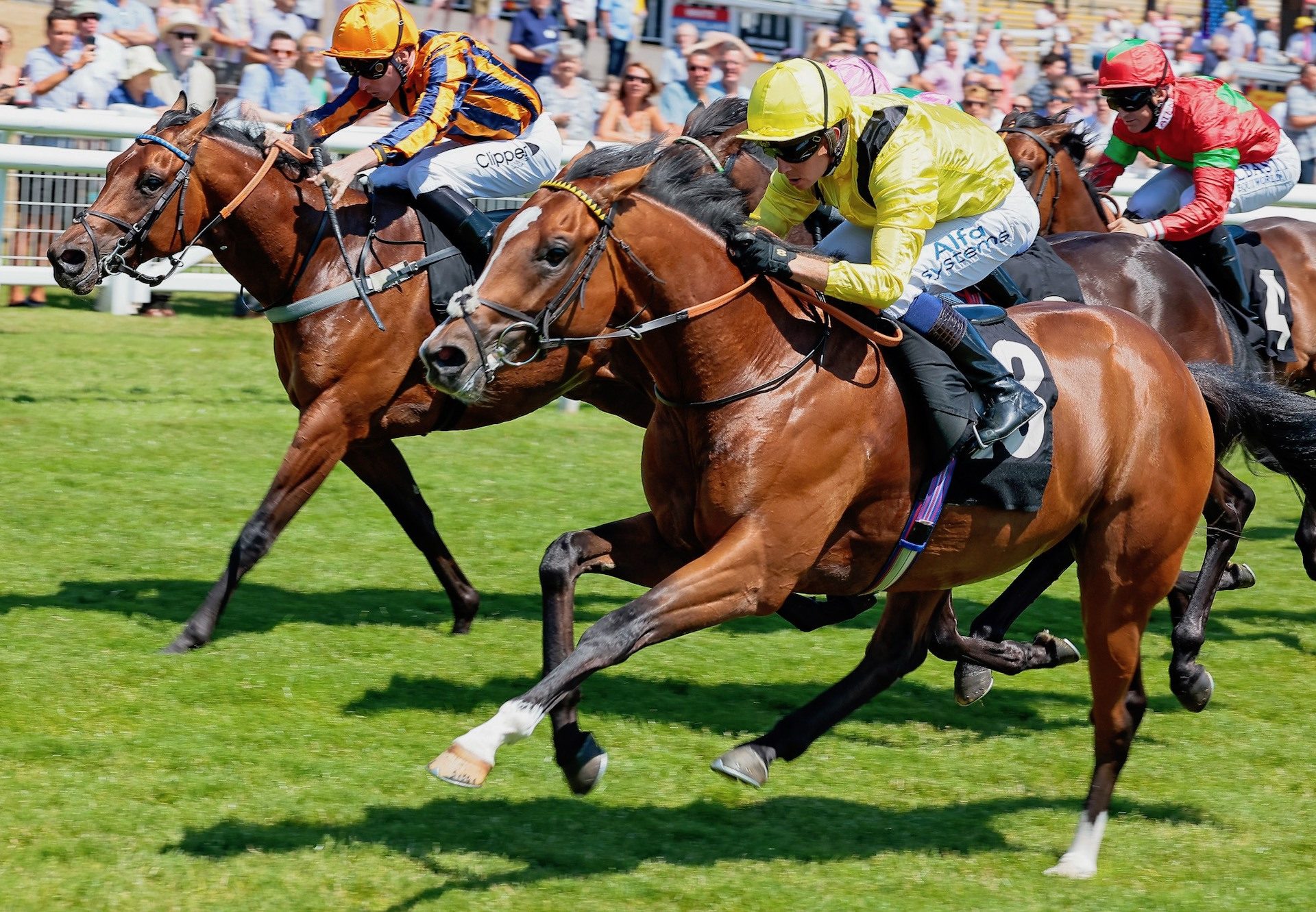 Tarjeeh (Churchill) Wins At Newbury