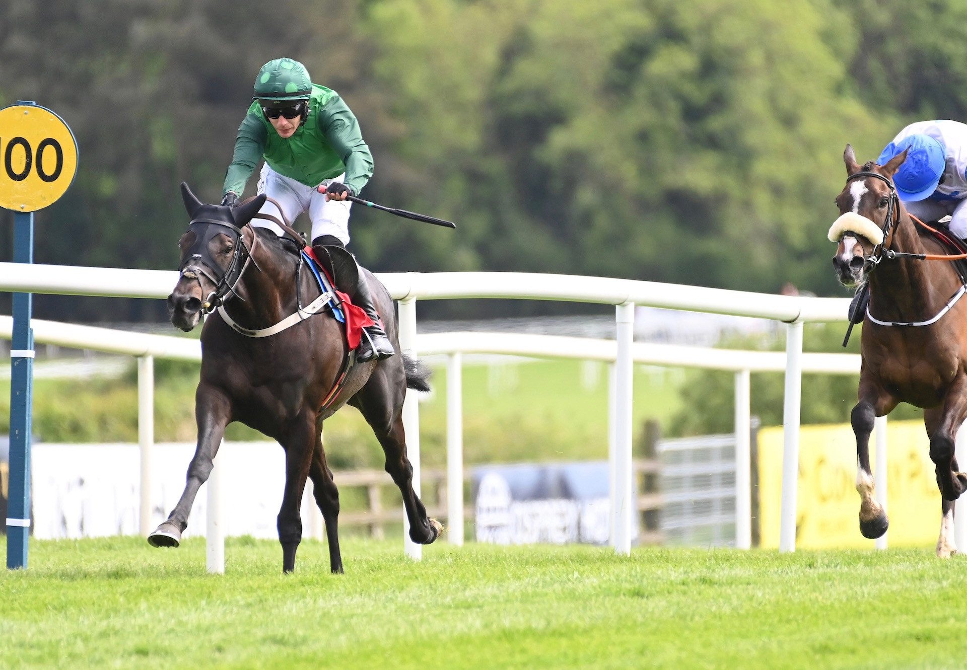 Tax For Max (Maxios) Wins The Maiden Hurdle At Punchestown