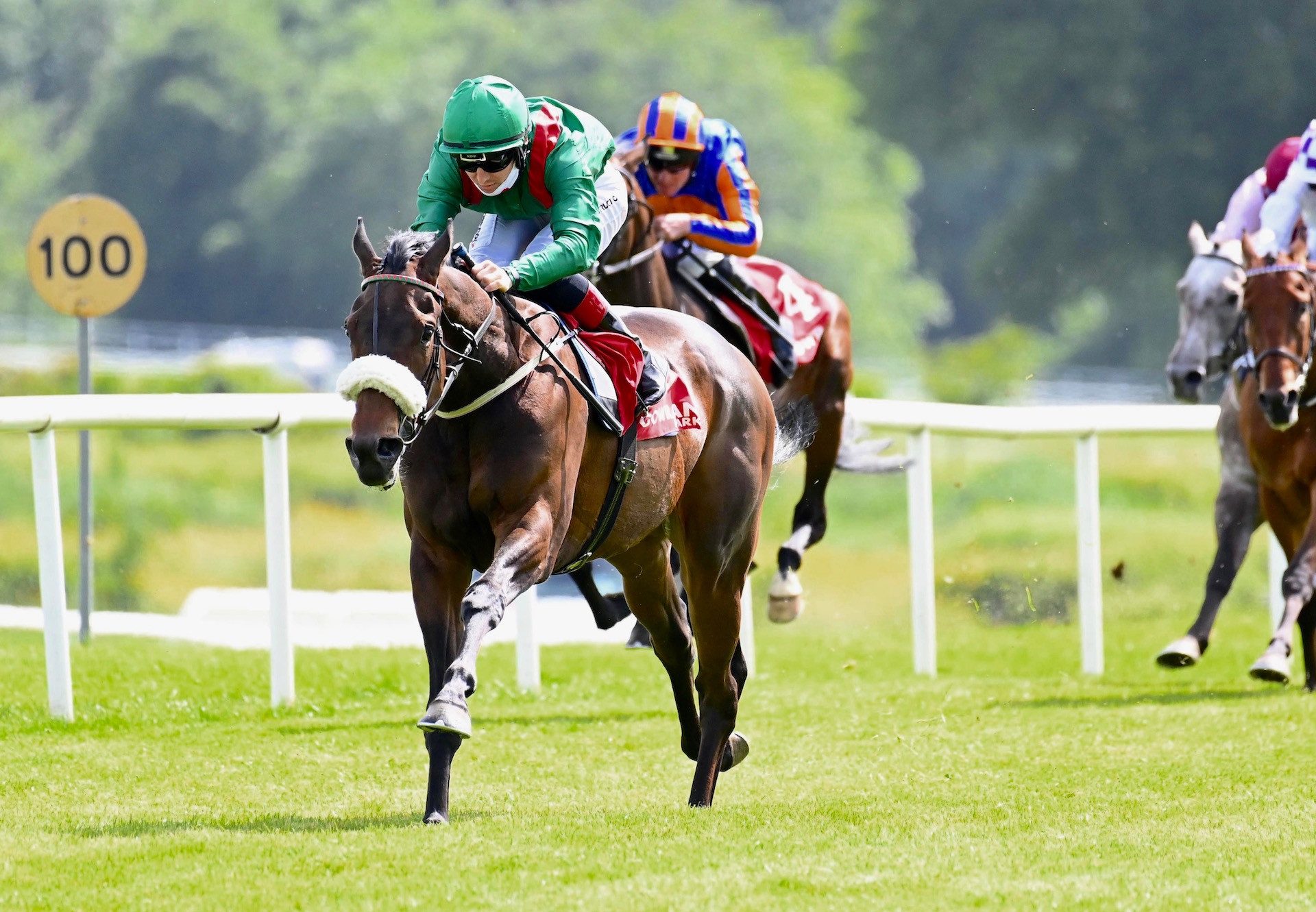 Tazaral (Fastnet Rock) Impresses At Gowran Park