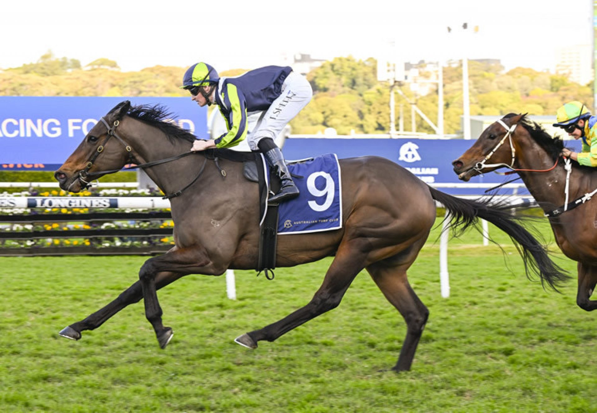 Tazaral (Fastnet Rock) winning at Randwick