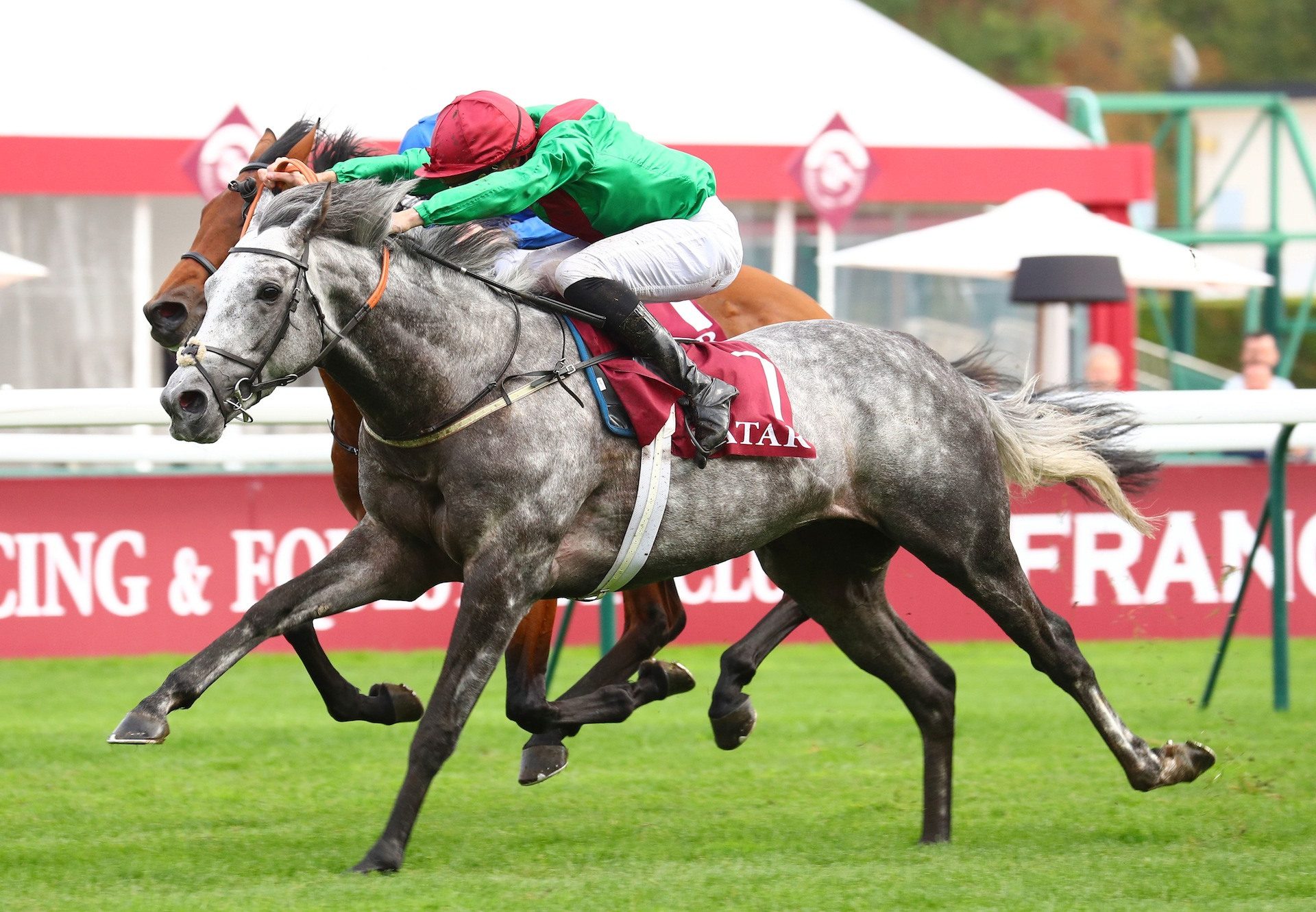 Technician (Mastercraftsman) Wins The Gr.2 Prix Chaudenay at ParisLongchamp