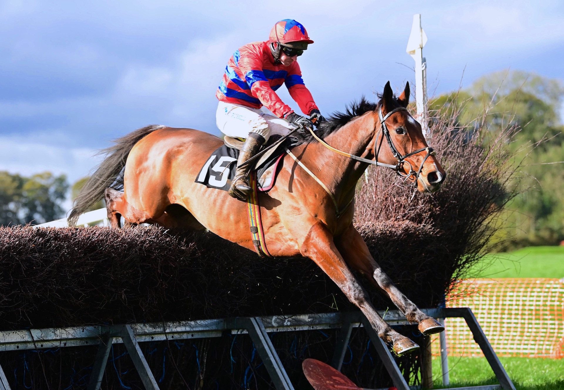 Teeshan (Westerner) Impresses At Loughanmore