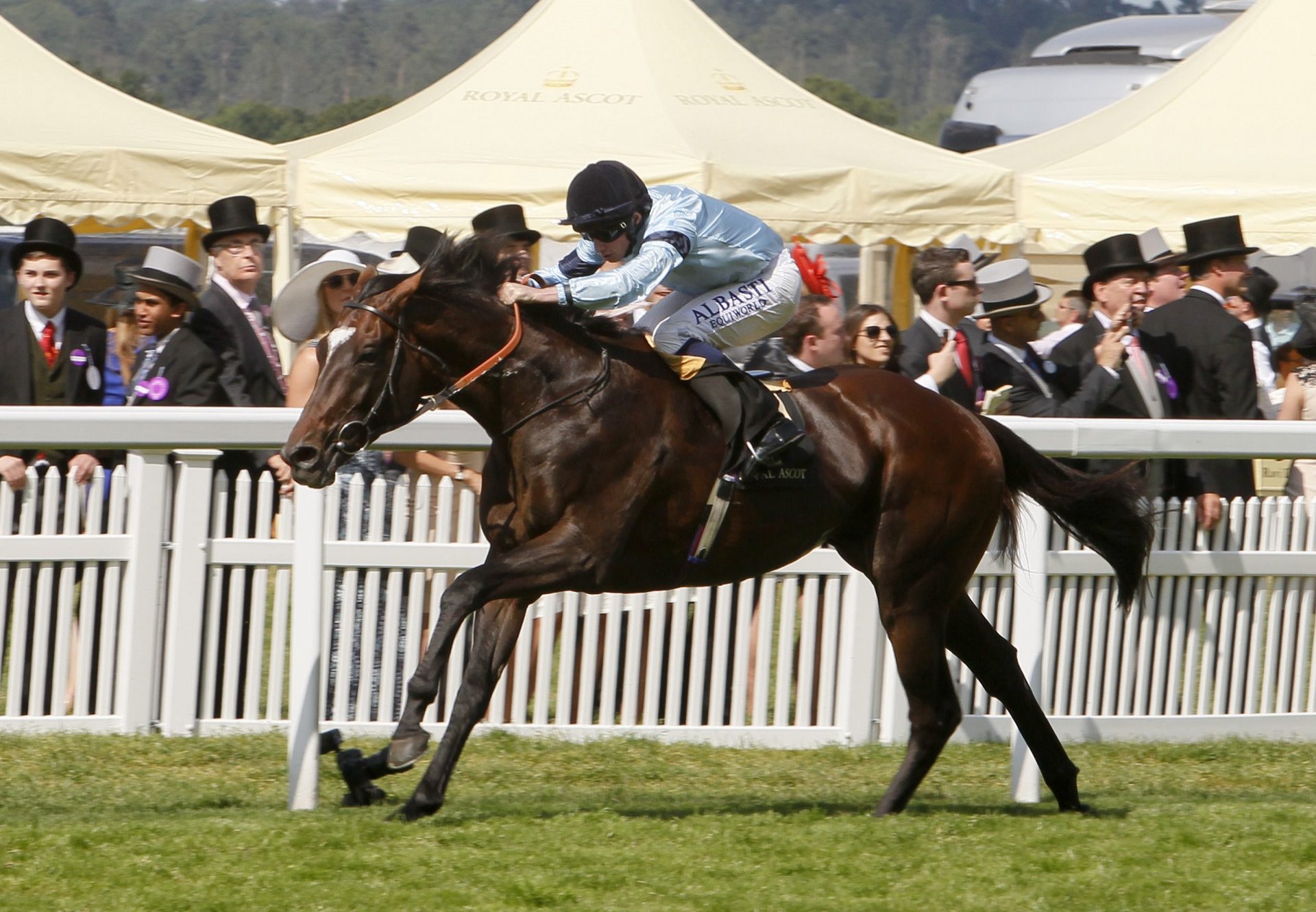 Telescope Hardwicke Stakes