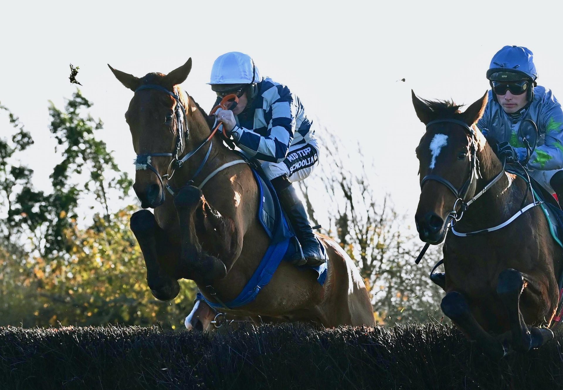 Tell The Tale (Order of St George) Wins The 4Yo Maiden At Moig South