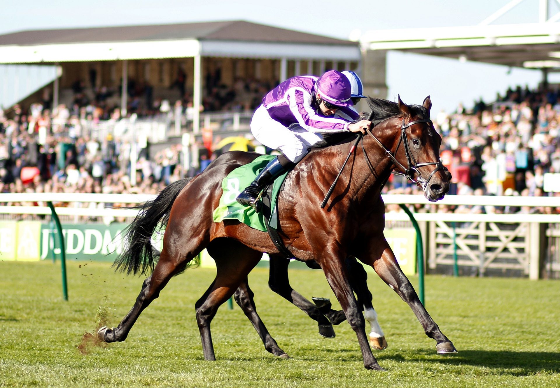 Ten Sovereigns (No Nay Never) G1 Middle Park Stakes