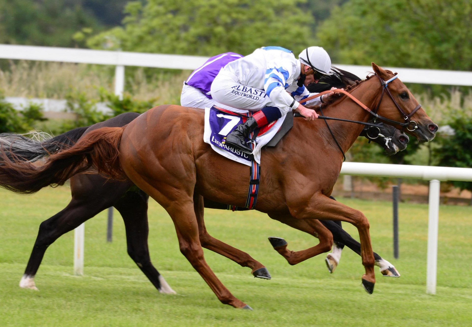 Ten Year Ticket (Rock Of Gibraltar) winning the Listed Trial Stakes at Leopardstown