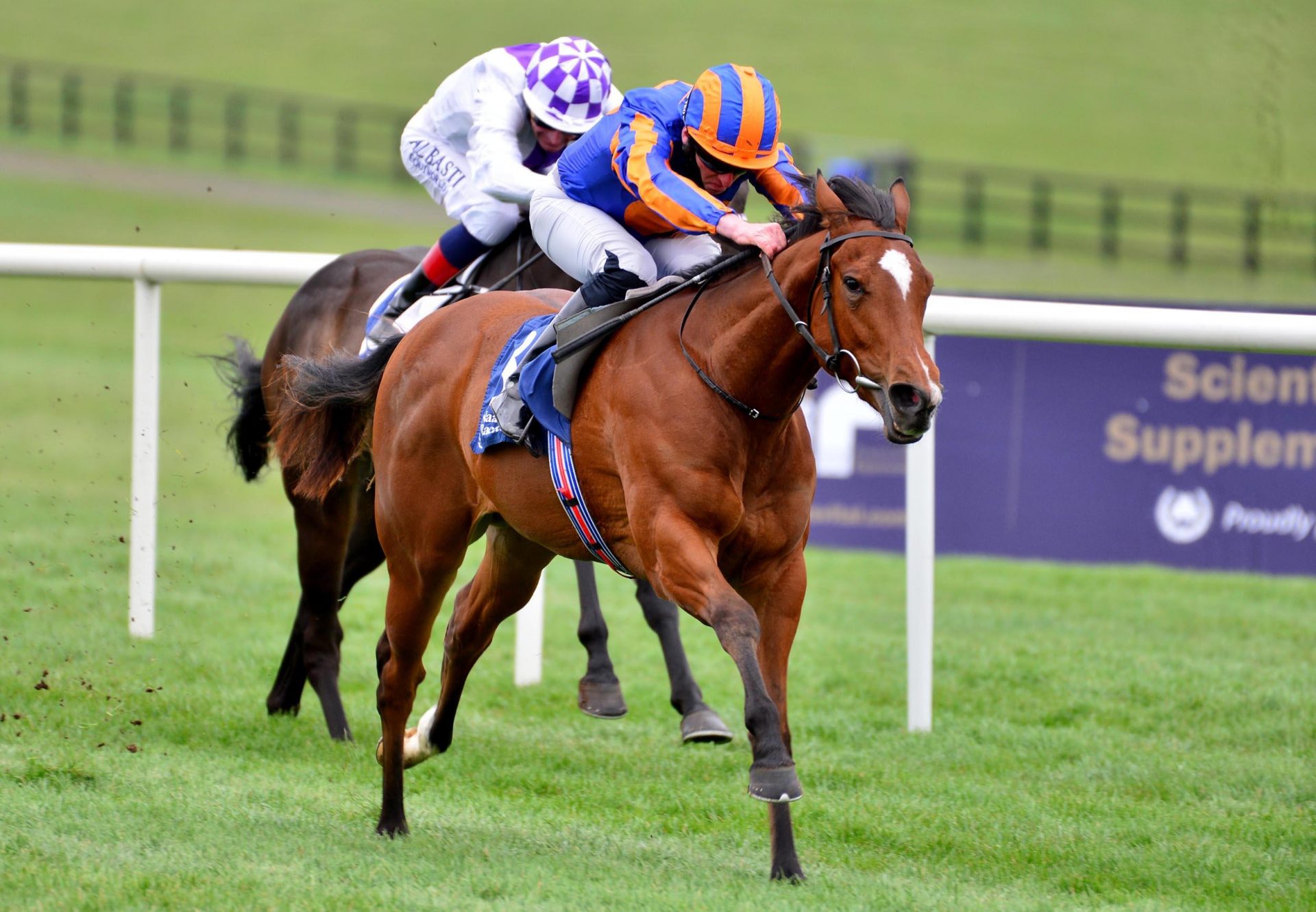 Tenebrism (Caravaggio) Breaks Maiden At Naas