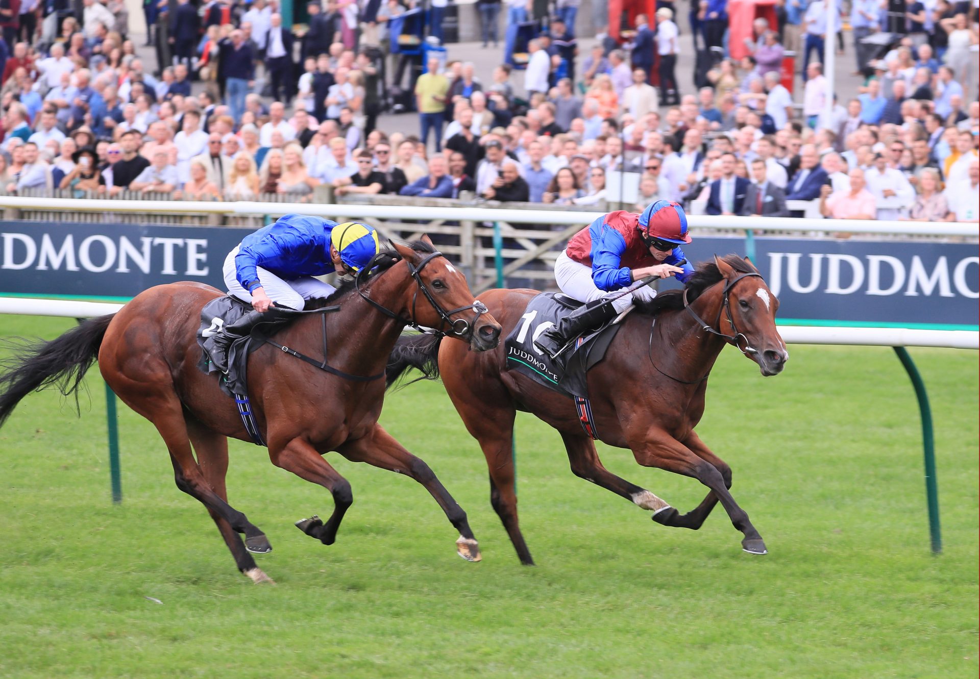 Tenebrism (Caravaggio) Wins Gr.1 Cheveley Park Stakes at Newmarket