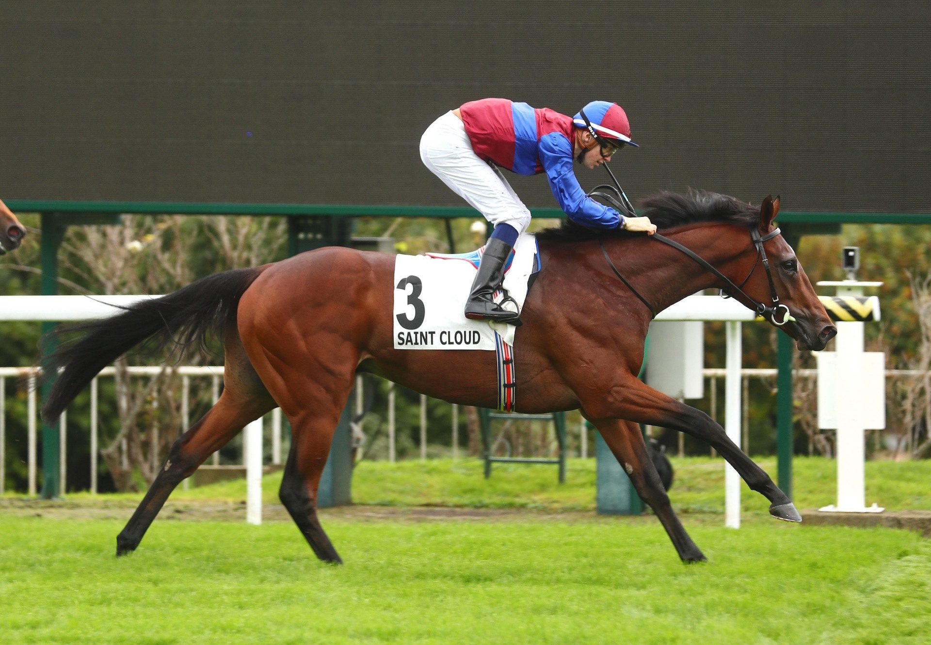 Tennessee Stud (Wootton Bassett) Wins The Group 1 Criterium De Saint Cloud