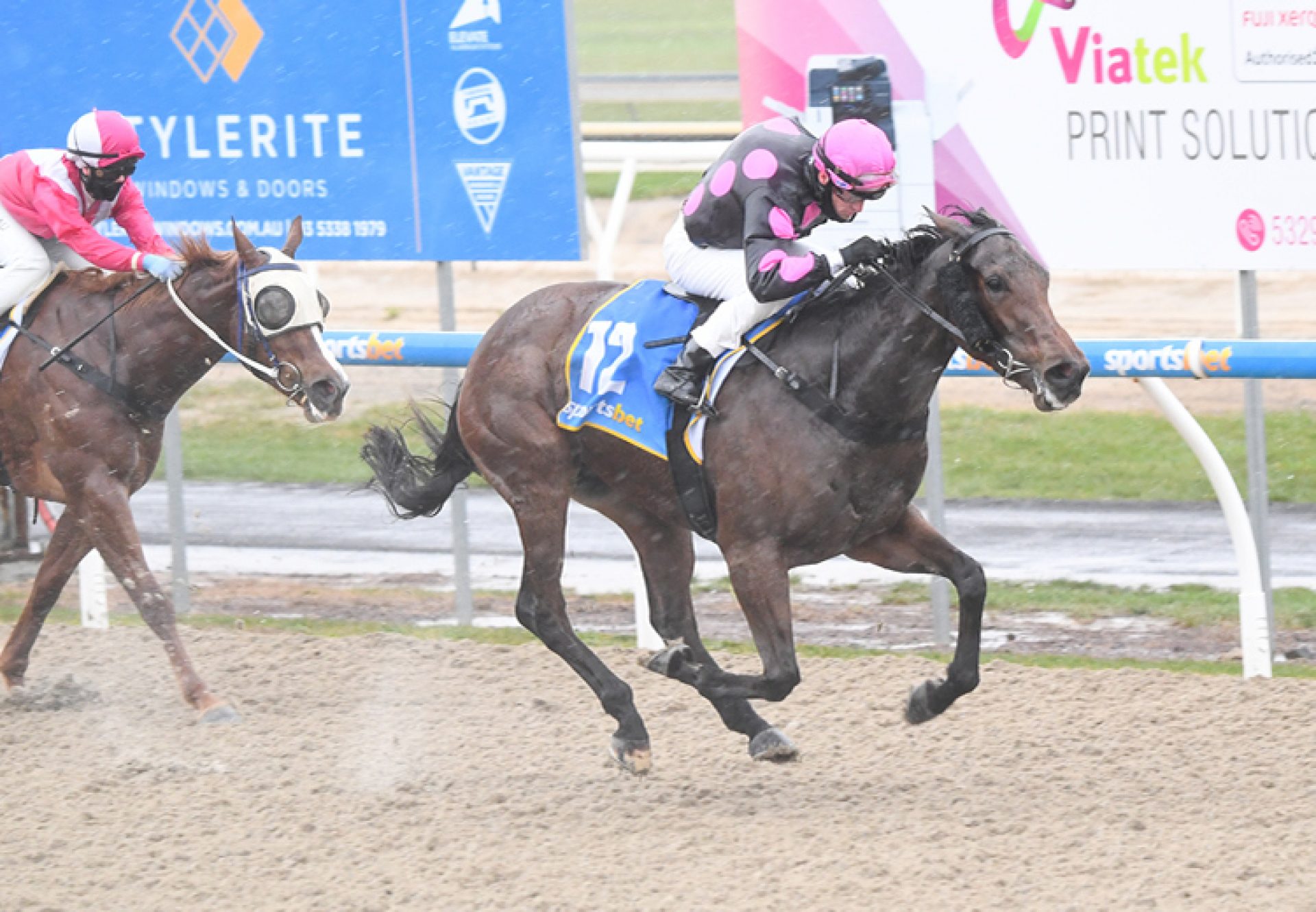 Testa Rock (Fastnet Rock) winning at Ballarat