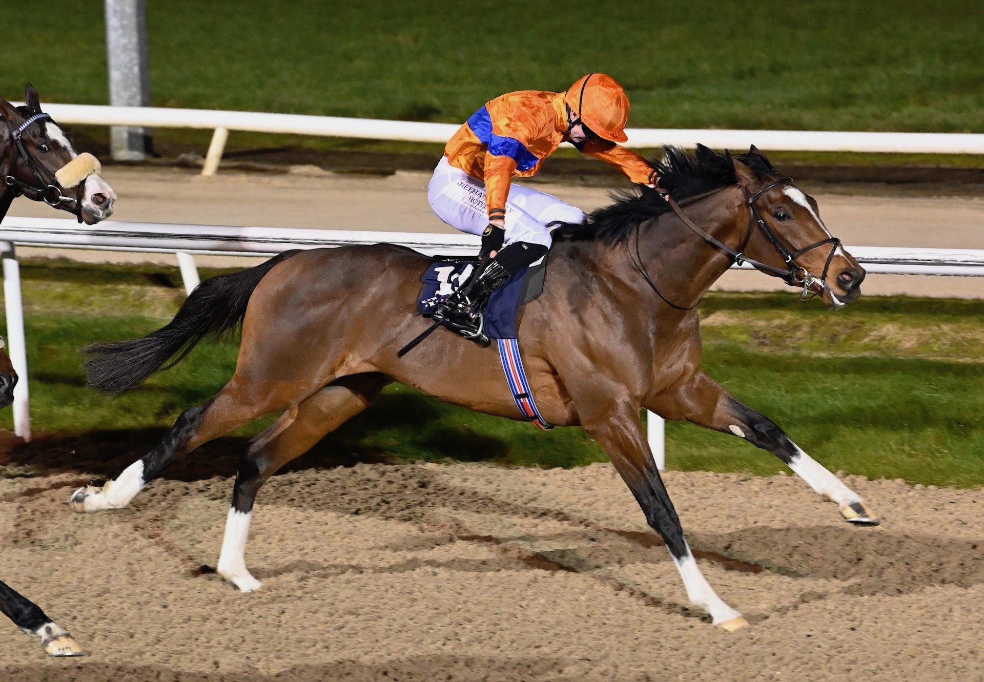 Teutates (Churchill) Makes A Winning Debut At Dundalk