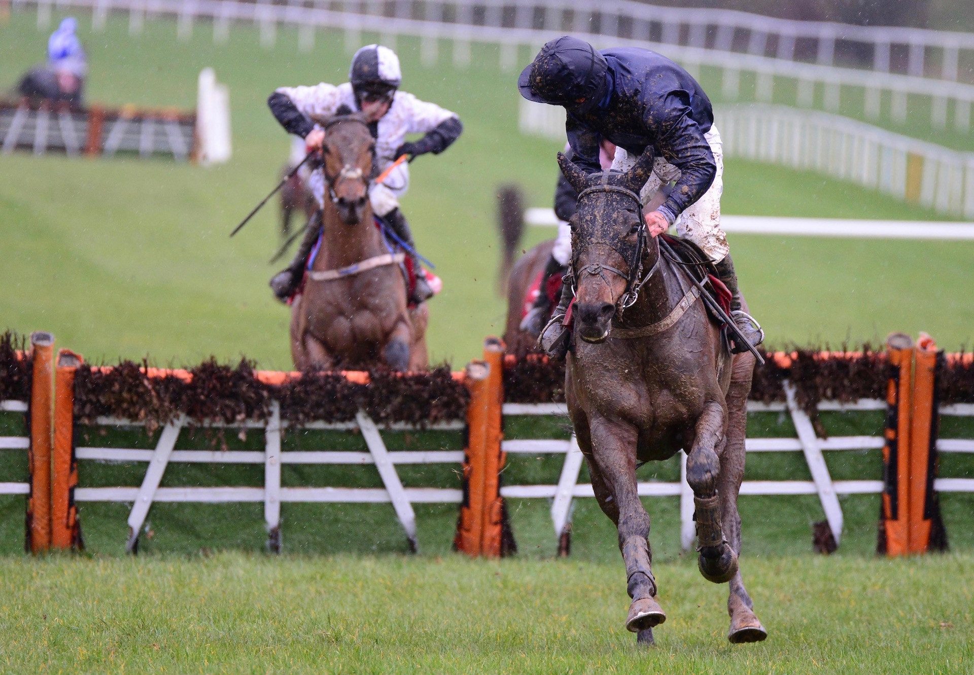 That'll Be The Day (Westerner) Impresses At Gowran Park