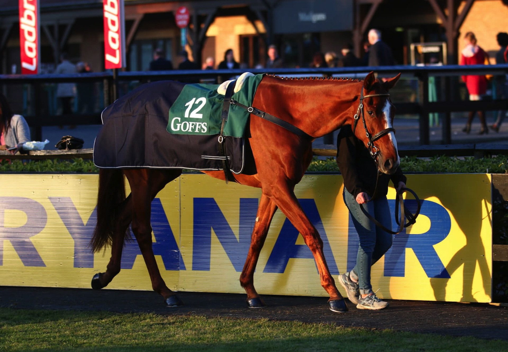 The Big Breakaway (Getaway) Sells At The Goffs Punchestown Sale