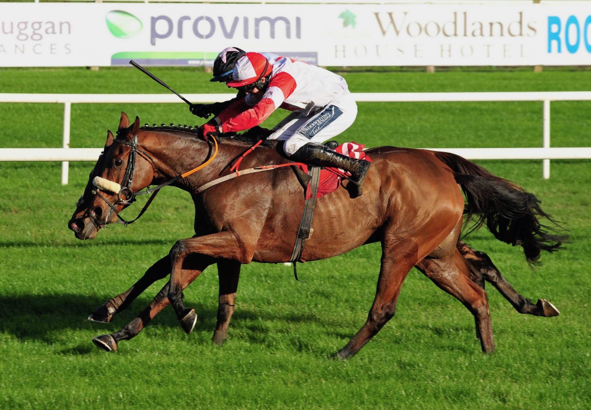 The Big Dog (Mahler) Wins The Munster Grand National at Limerick