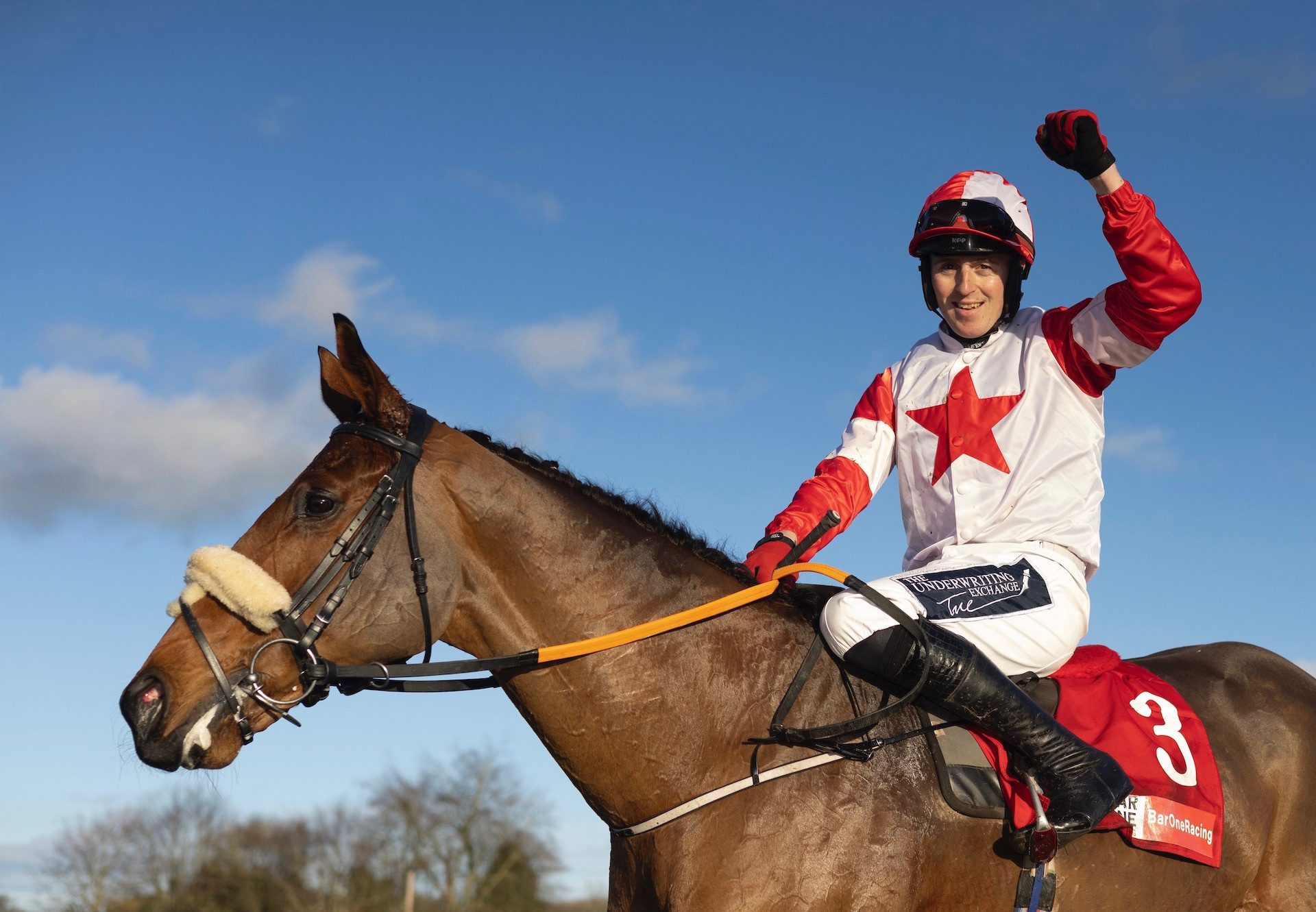 The Big Dog (Mahler) Wins The Troytown Chase at Navan