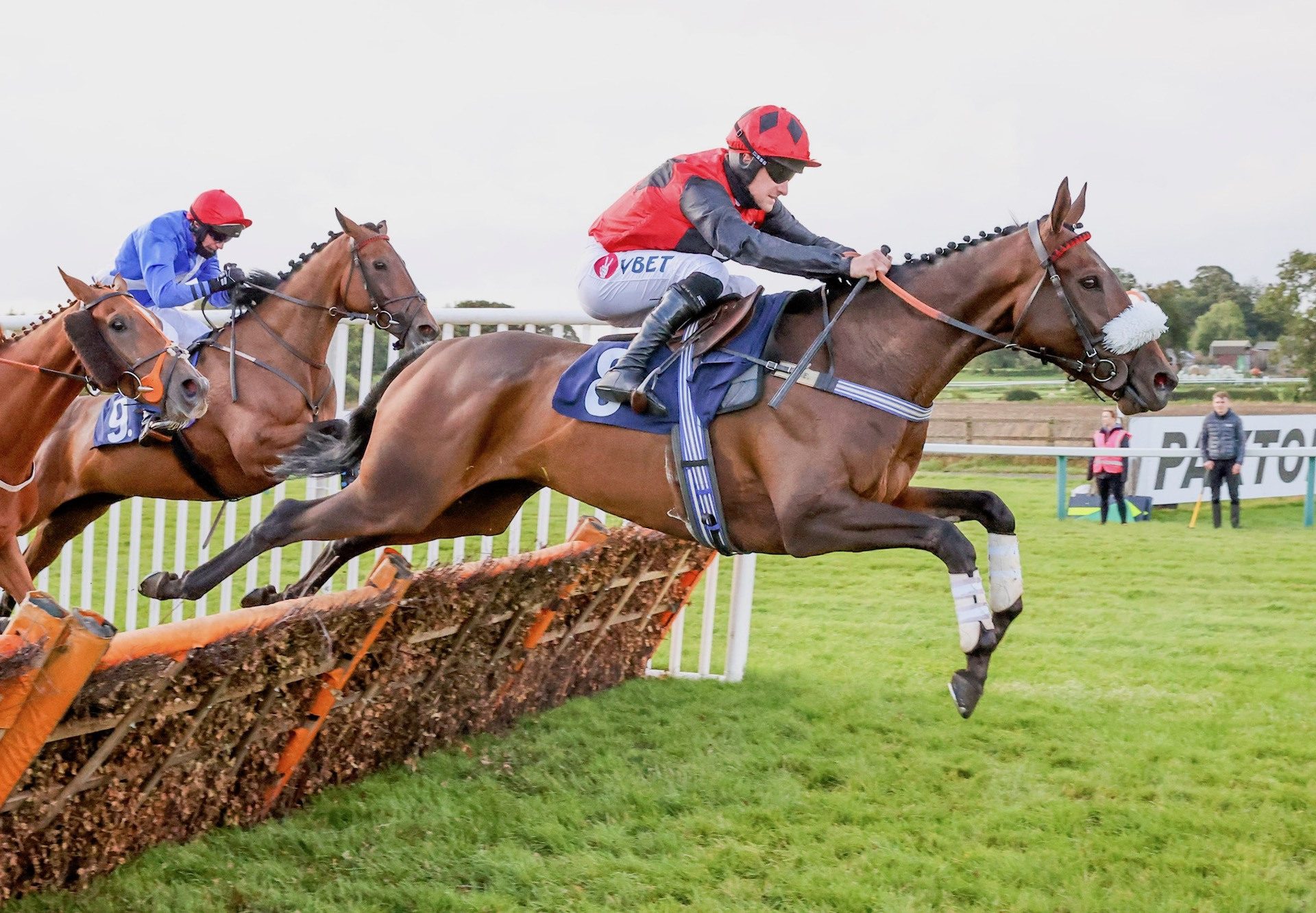 The Blame Game (Getaway) Wins The Novice Hurdle At Sedgefield