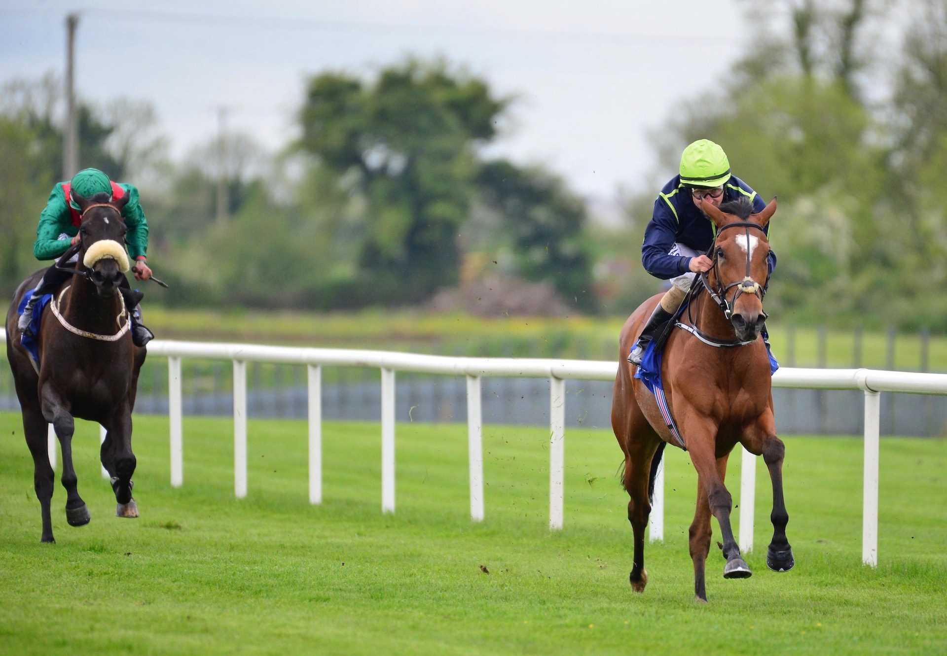 The Blue Brilliant (Fastnet Rock) Wins Her Maiden At Fairyhouse