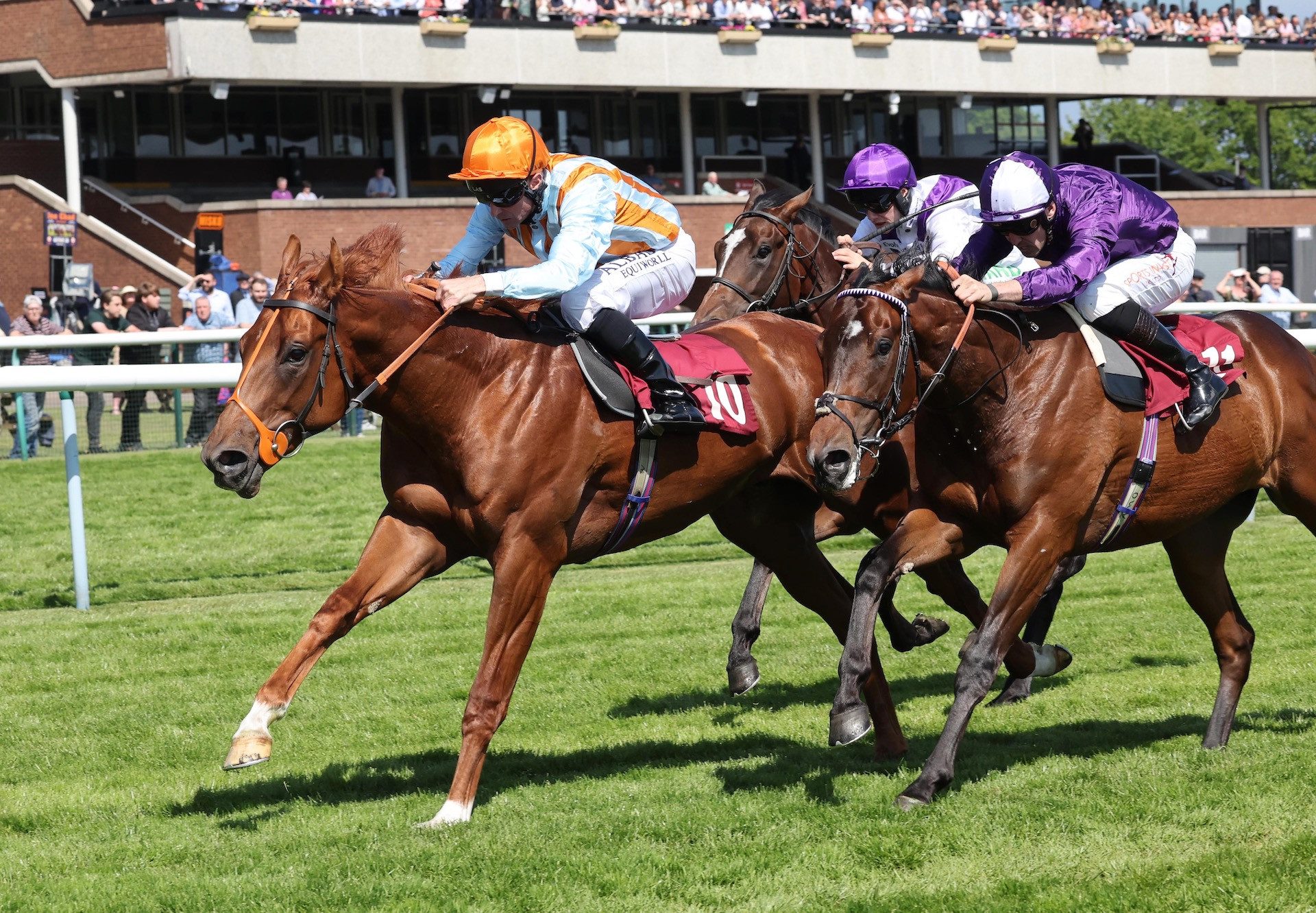 The Camden Colt (Footstepsinthesand) Wins His Maiden At Haydock