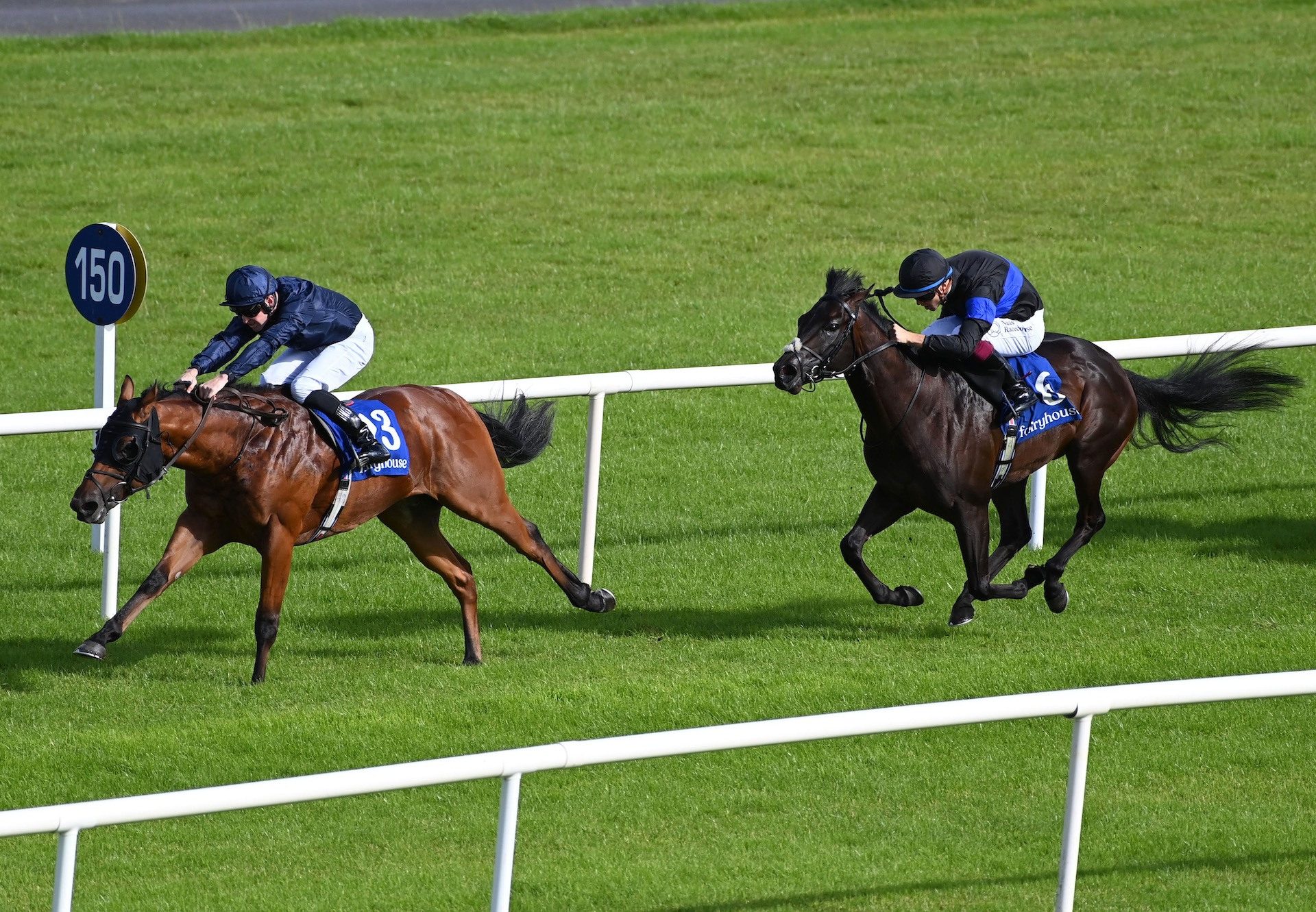 The Caribbean (No Nay Never) Wins His Maiden At Fairyhouse